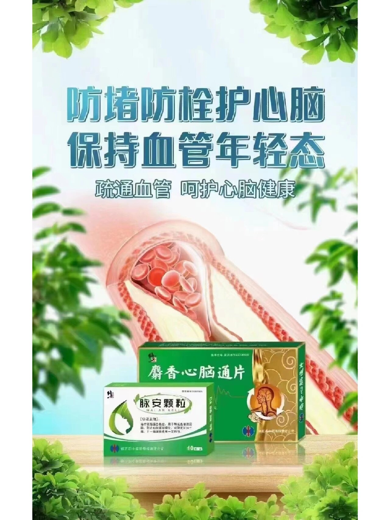 麝香心脑通 修正图片