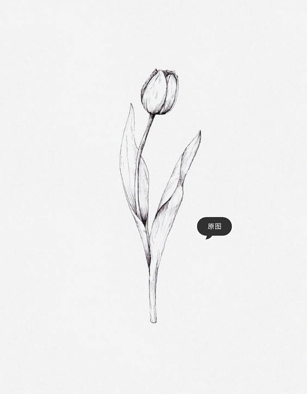 21 骤降温前的最后一天 记录未开的花骨朵等待来年的开春