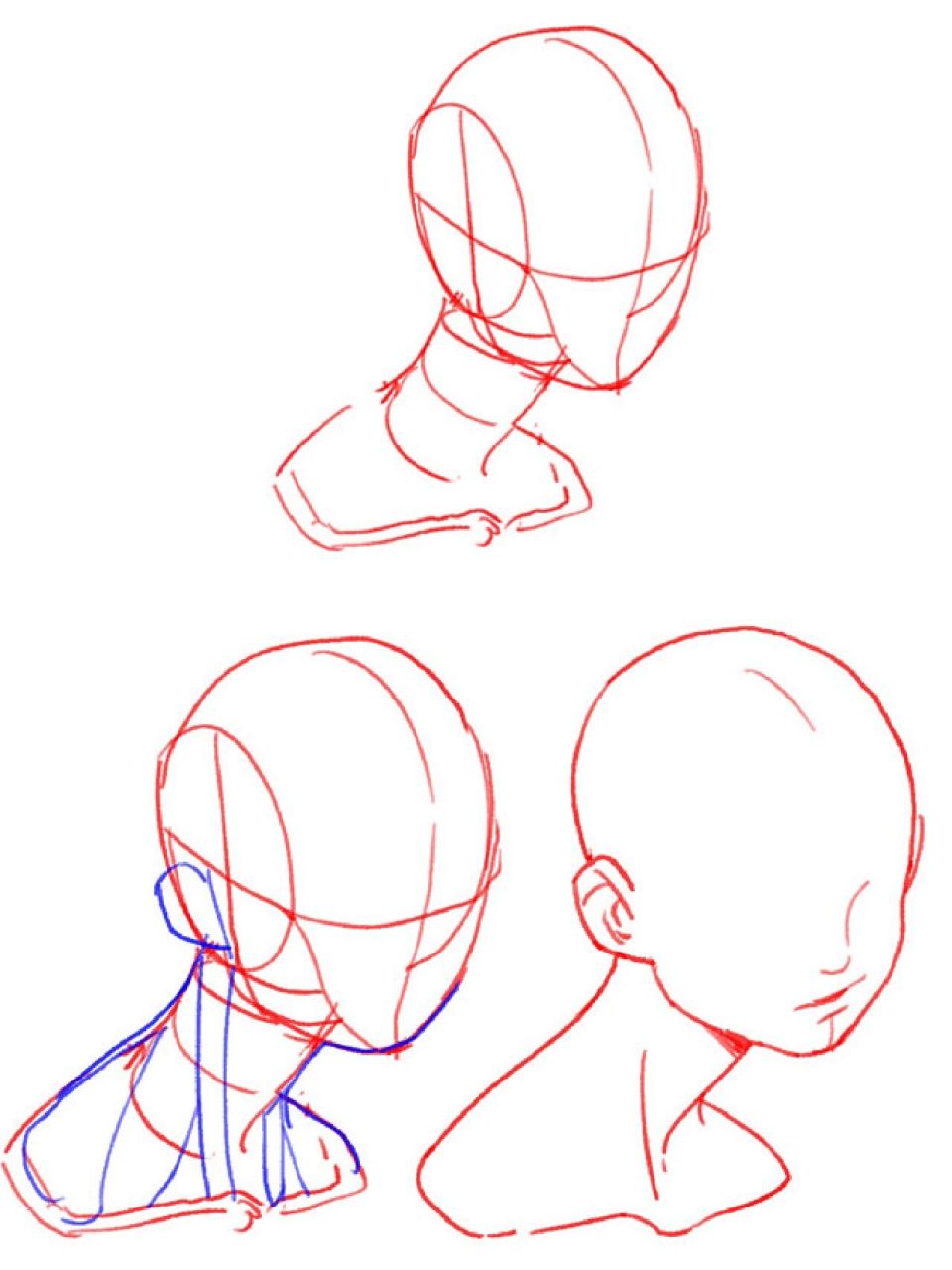 人体练习 | 动漫女生的脖子画法(22/100) 继上 之前《绘画05,06》脖子
