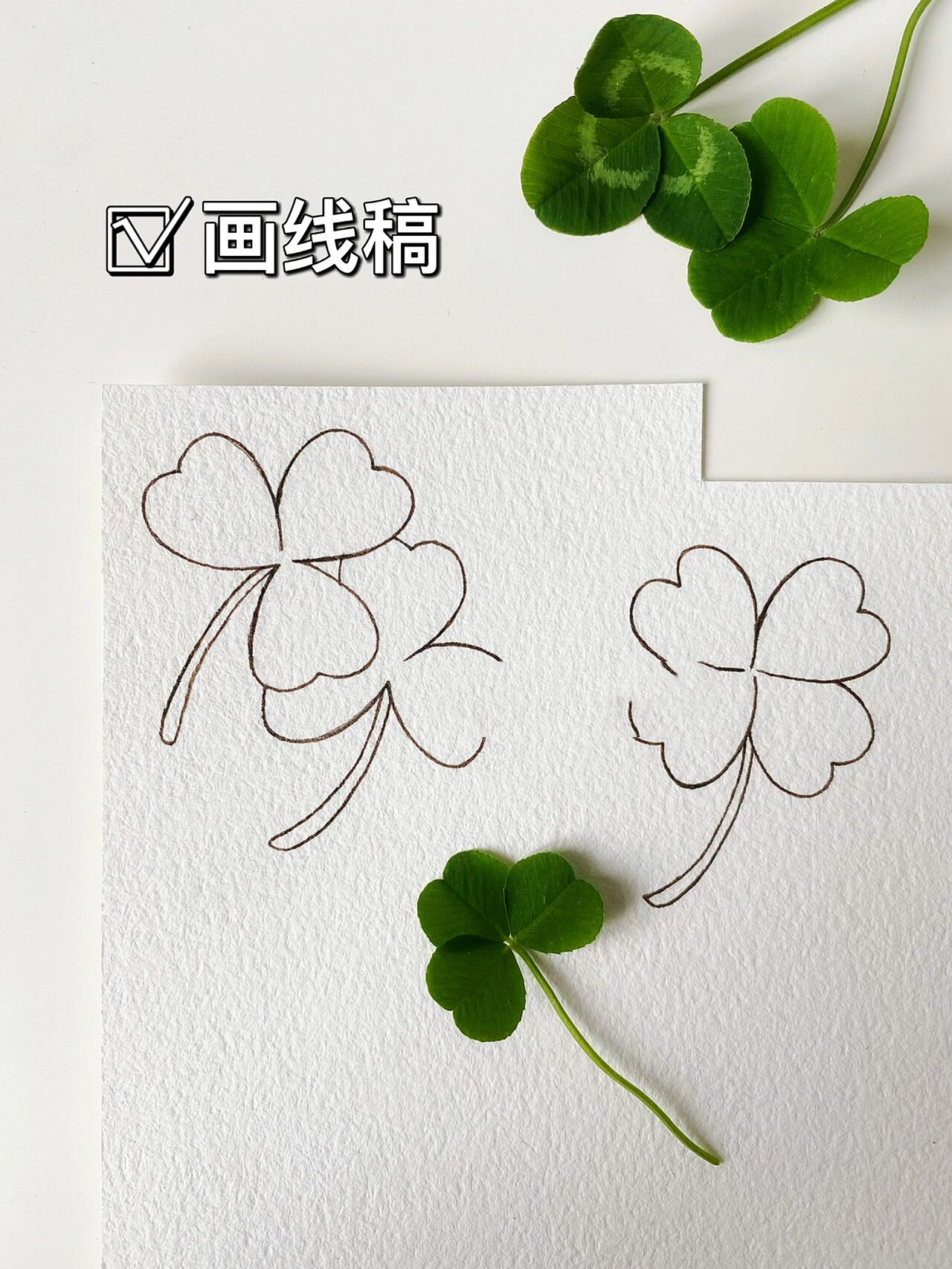 送你一颗四叶草92|自制三叶草书签夹教程7815 没有找到四叶草