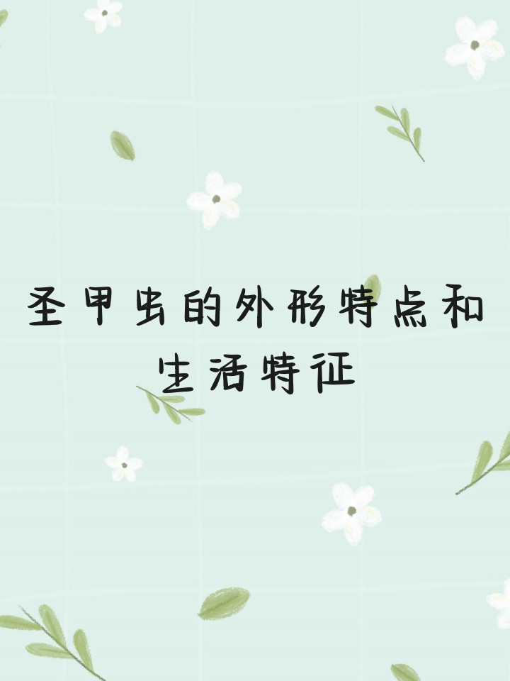 圣甲虫的外形特点和生活特征