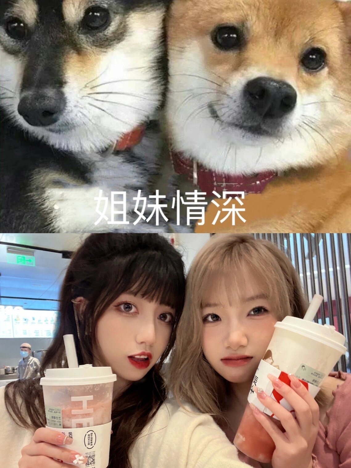 姐妹情深表情包 这还不是一模一样吗