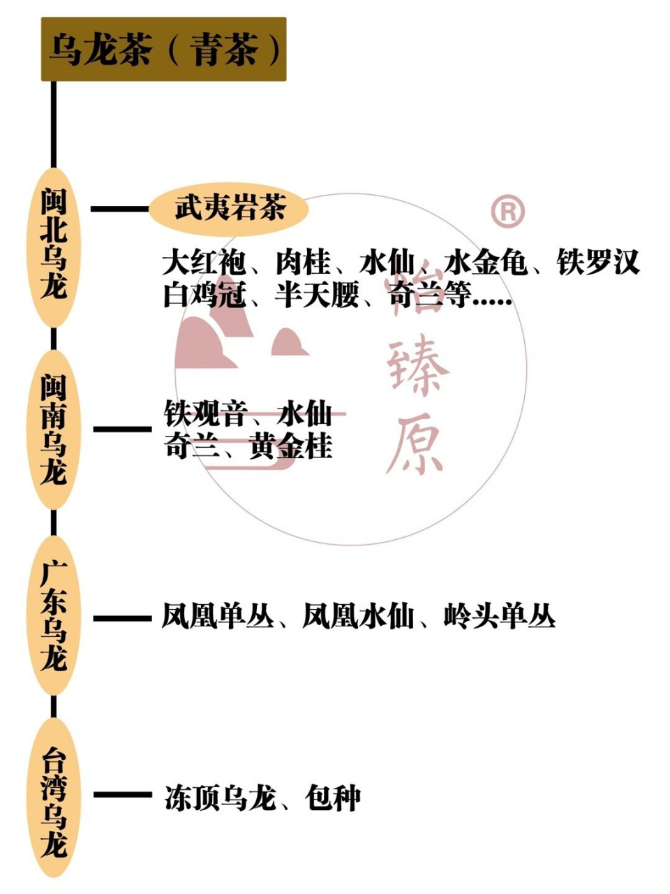 凤凰单枞香型大全图片