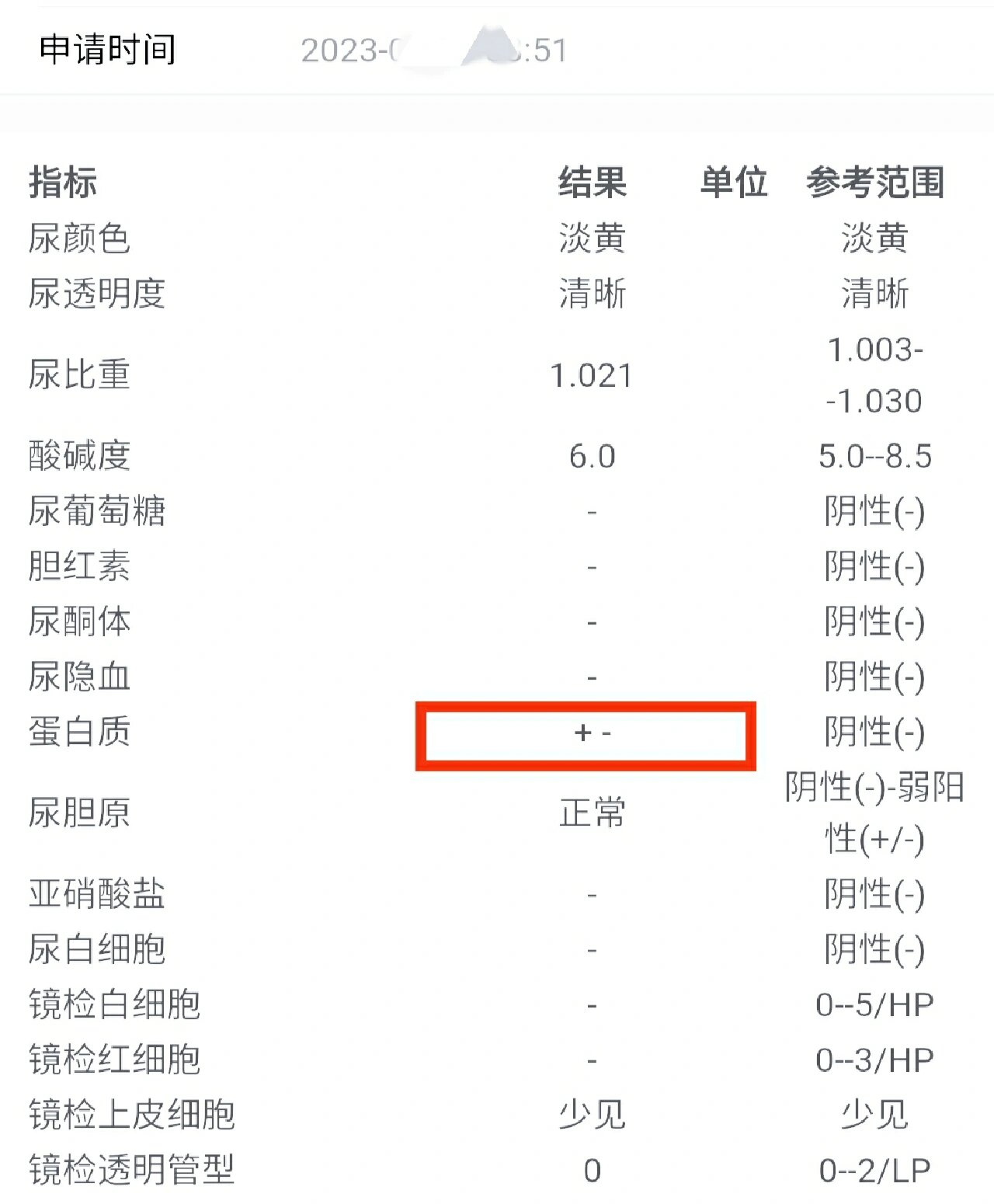 尿检正常值参考表图片