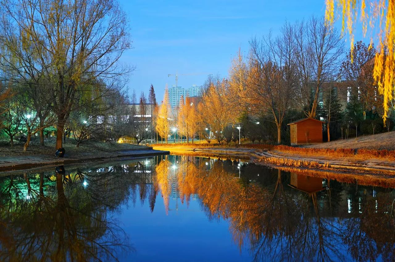 晒晒我相册里最美的风景 夜晚的月明湖,在灯光的映衬下,是如此的静谧