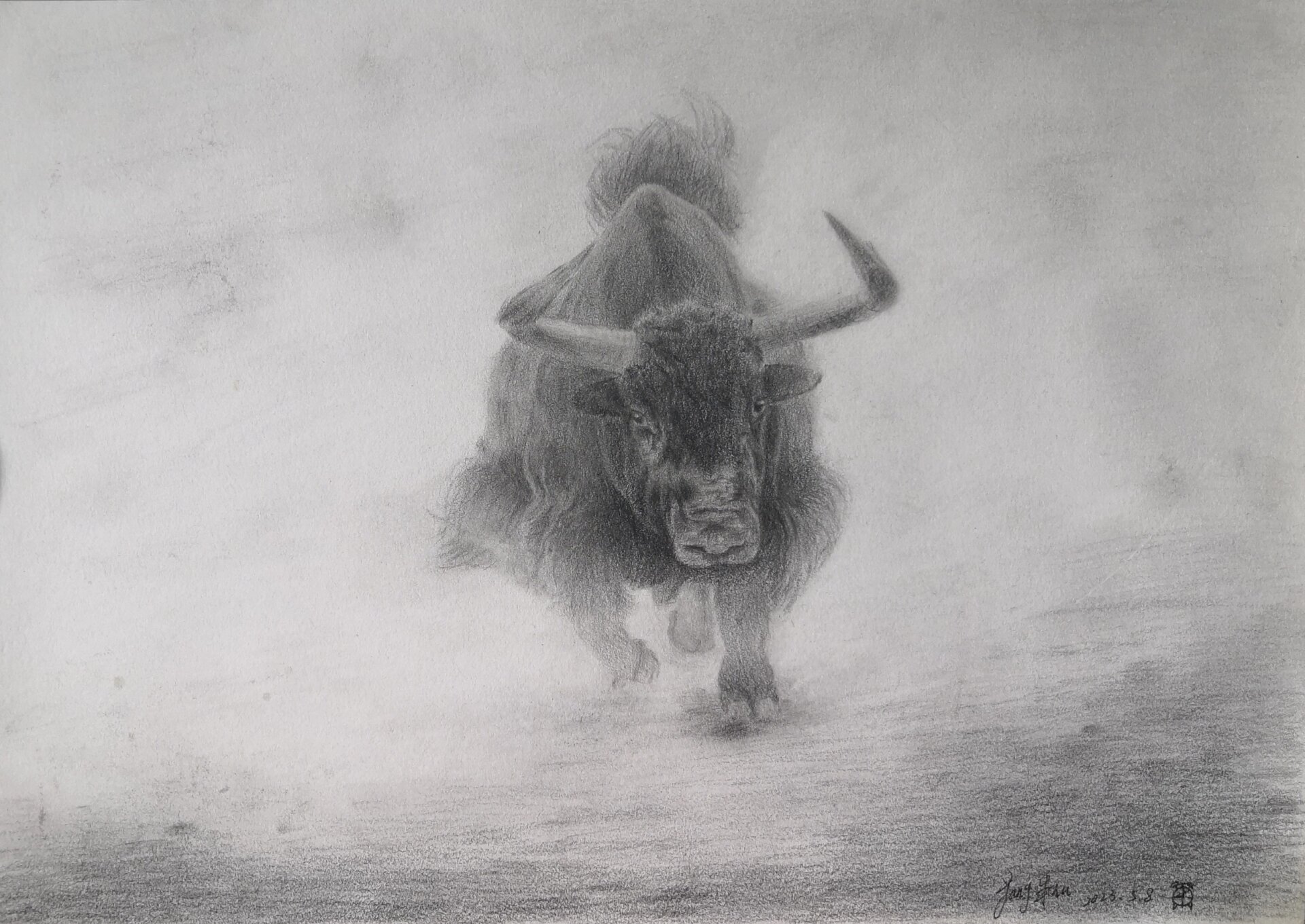 二季 第54幅 素描练习自创奔跑的牦牛 画一头奔跑的牦牛吧!