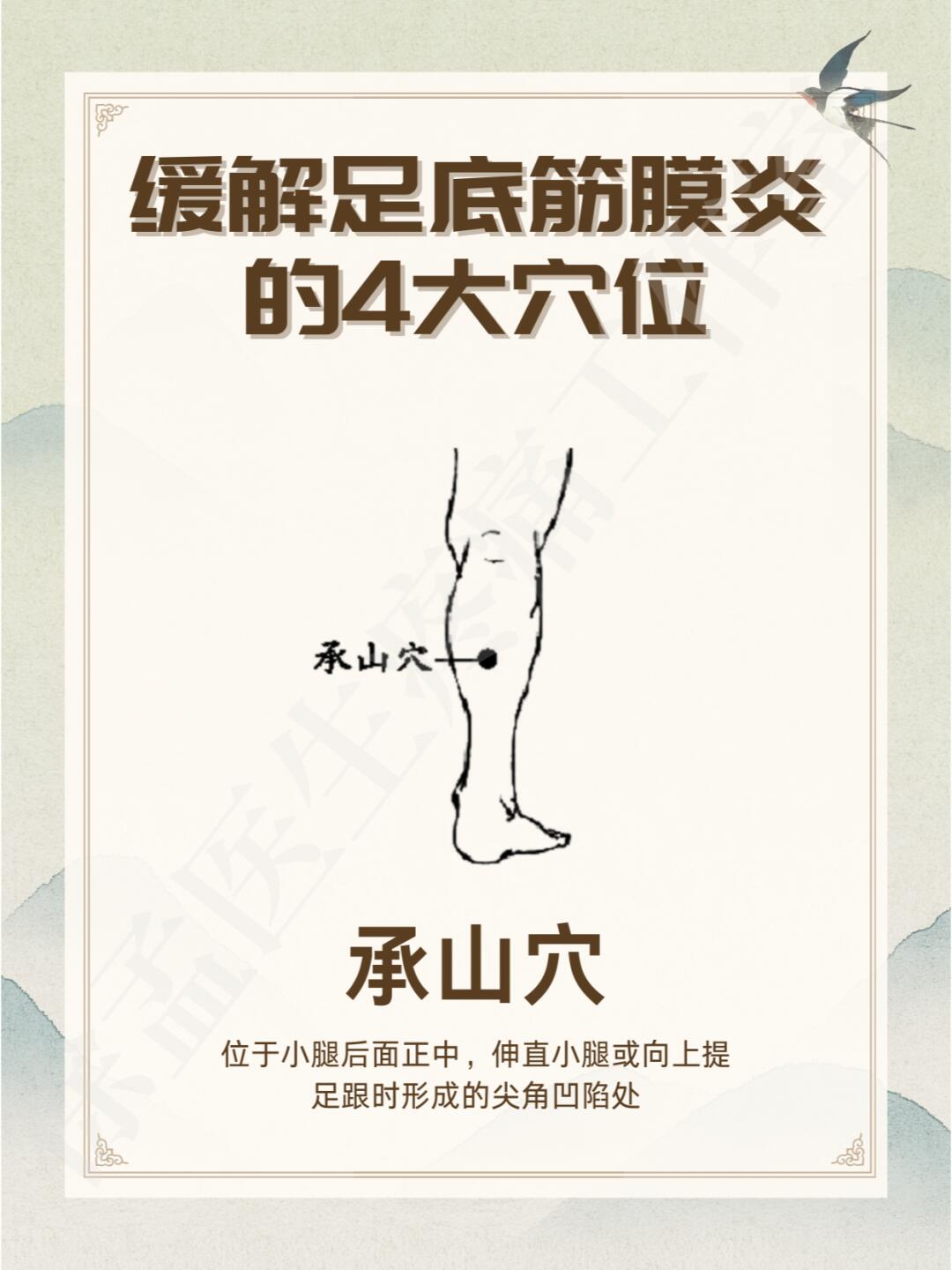 1,承山穴:位于小腿后面正中,伸直小腿或向上提足跟时形成的尖角凹陷