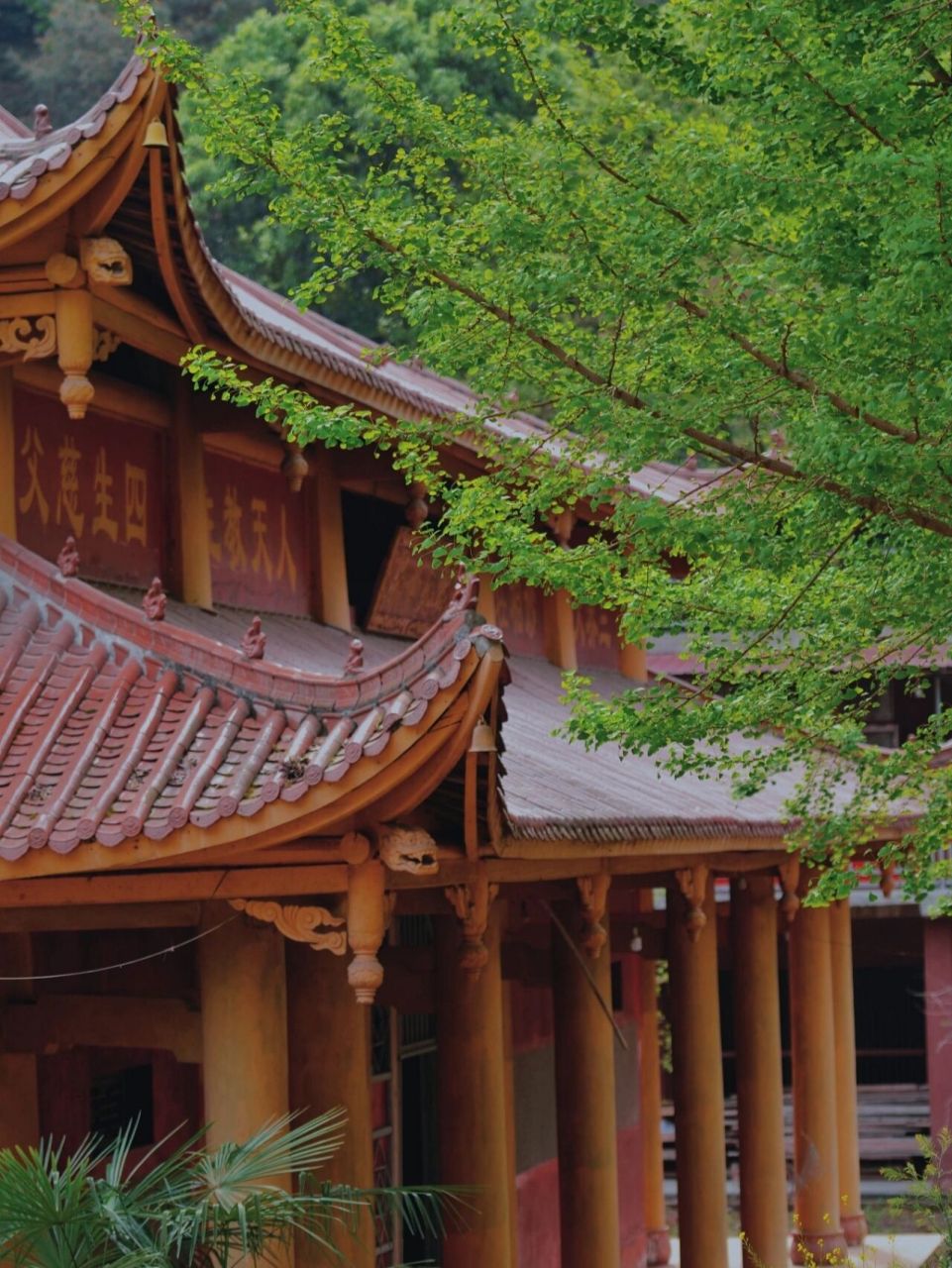 成都徒步象耳寺 | 重走李白儿时秘境 93今天徒步距成都1小时车程的