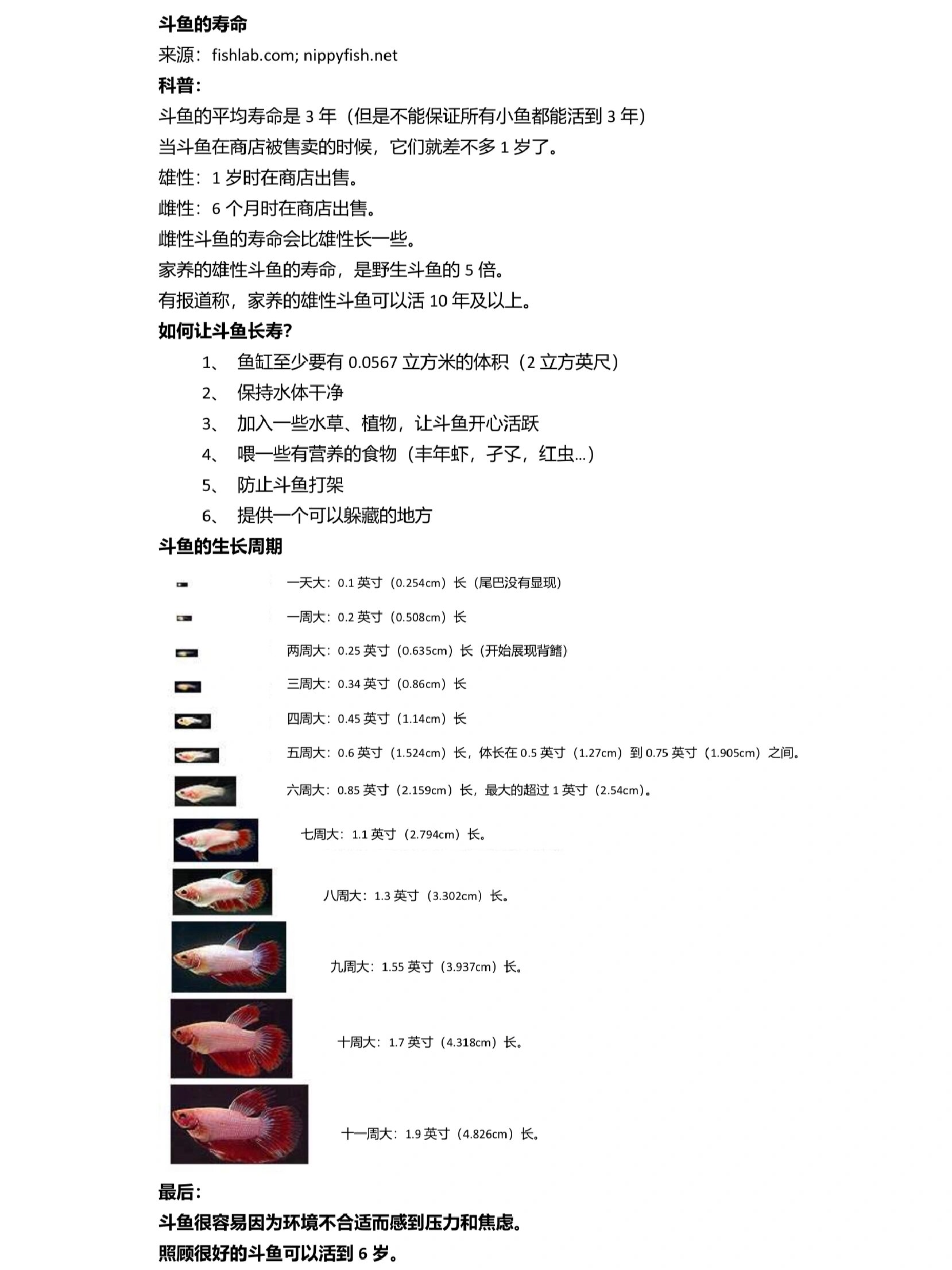 斗鱼寿命图片