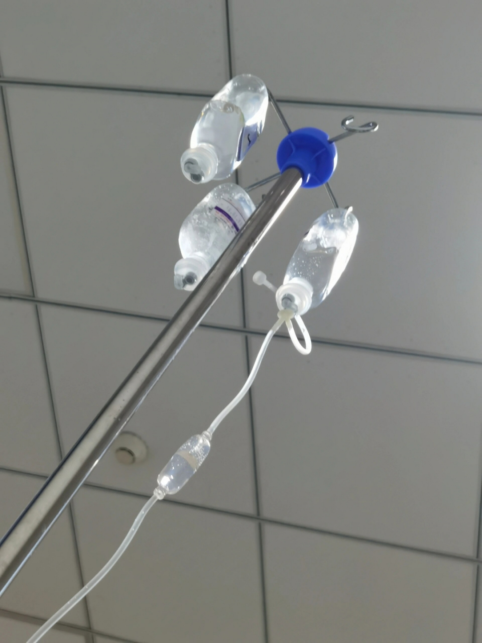 希望这些图片能给正在生病的朋友们一些安慰00~如