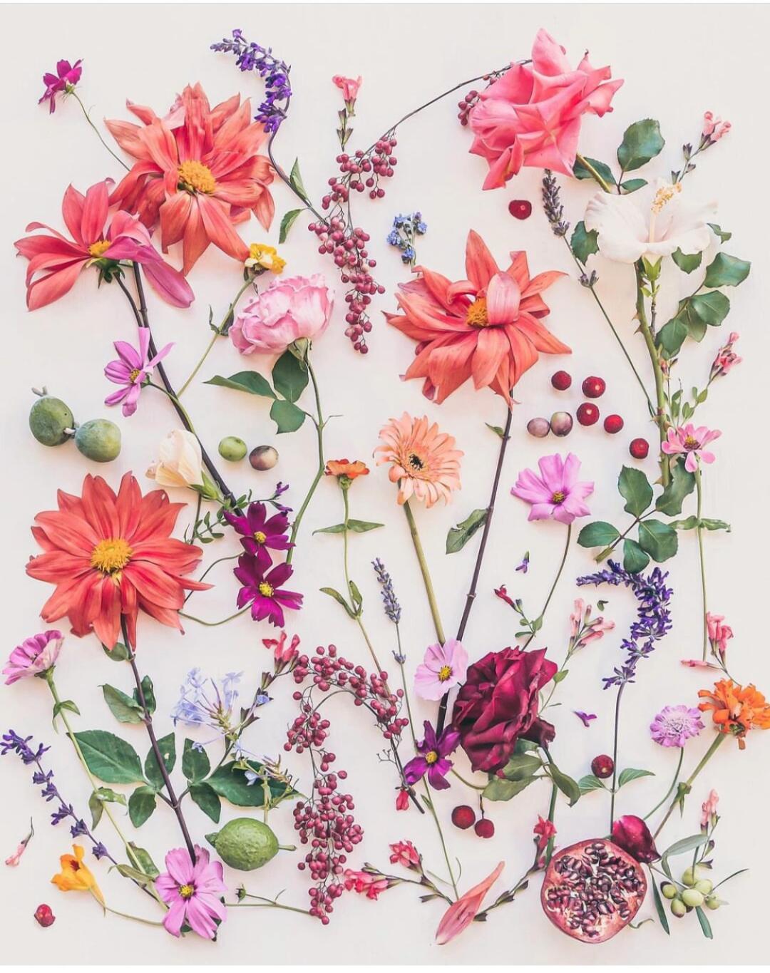 画画素材分享3:花艺宝藏博主 清新自然风