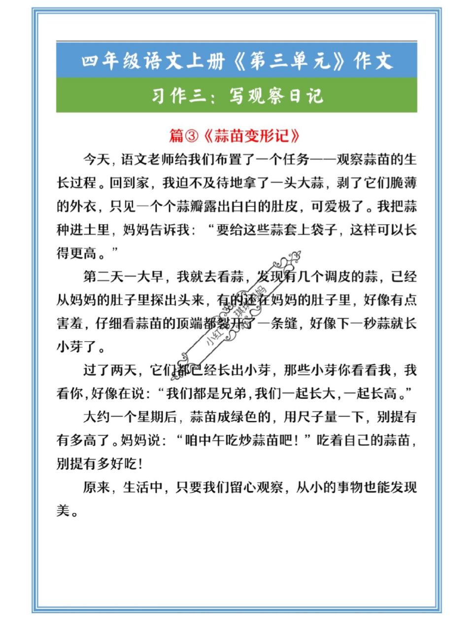 种大蒜观察日记300字连续写3篇(种大蒜观察日记300字以上四年级七天)