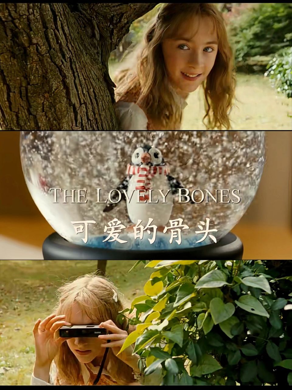 " 🎬《可爱的骨头》 ☑️主演:西尔莎·罗南 	 🌈电影有可爱