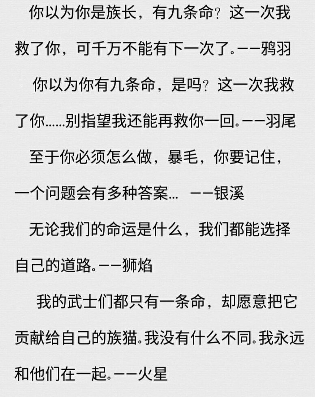 猫武士语录  猫武士语录来啦!羽尾和鸦羽的绝了