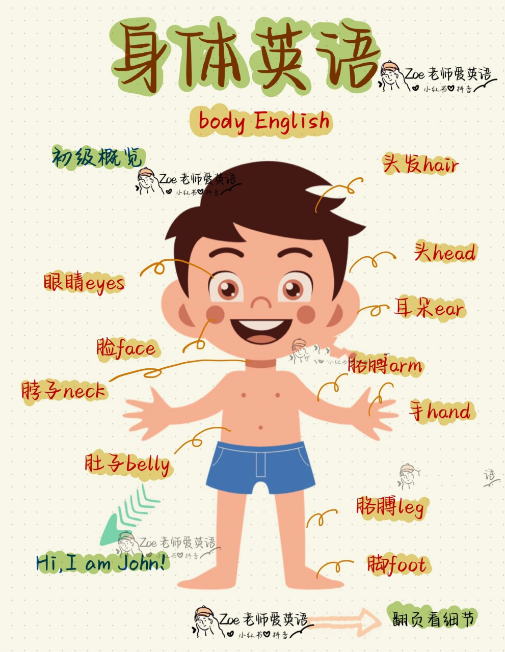 身体部位英语|识别身体部位从此不再难 身体部位的英语:除了head,neck