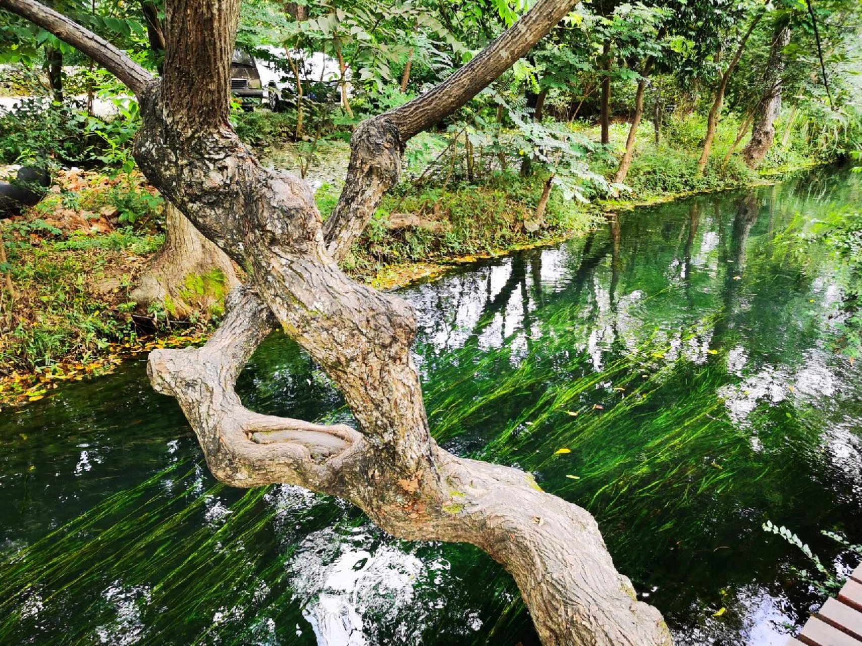 龙井村系列之一一一乡村旅游示范地 位于全州县安和乡的龙井村,有"小
