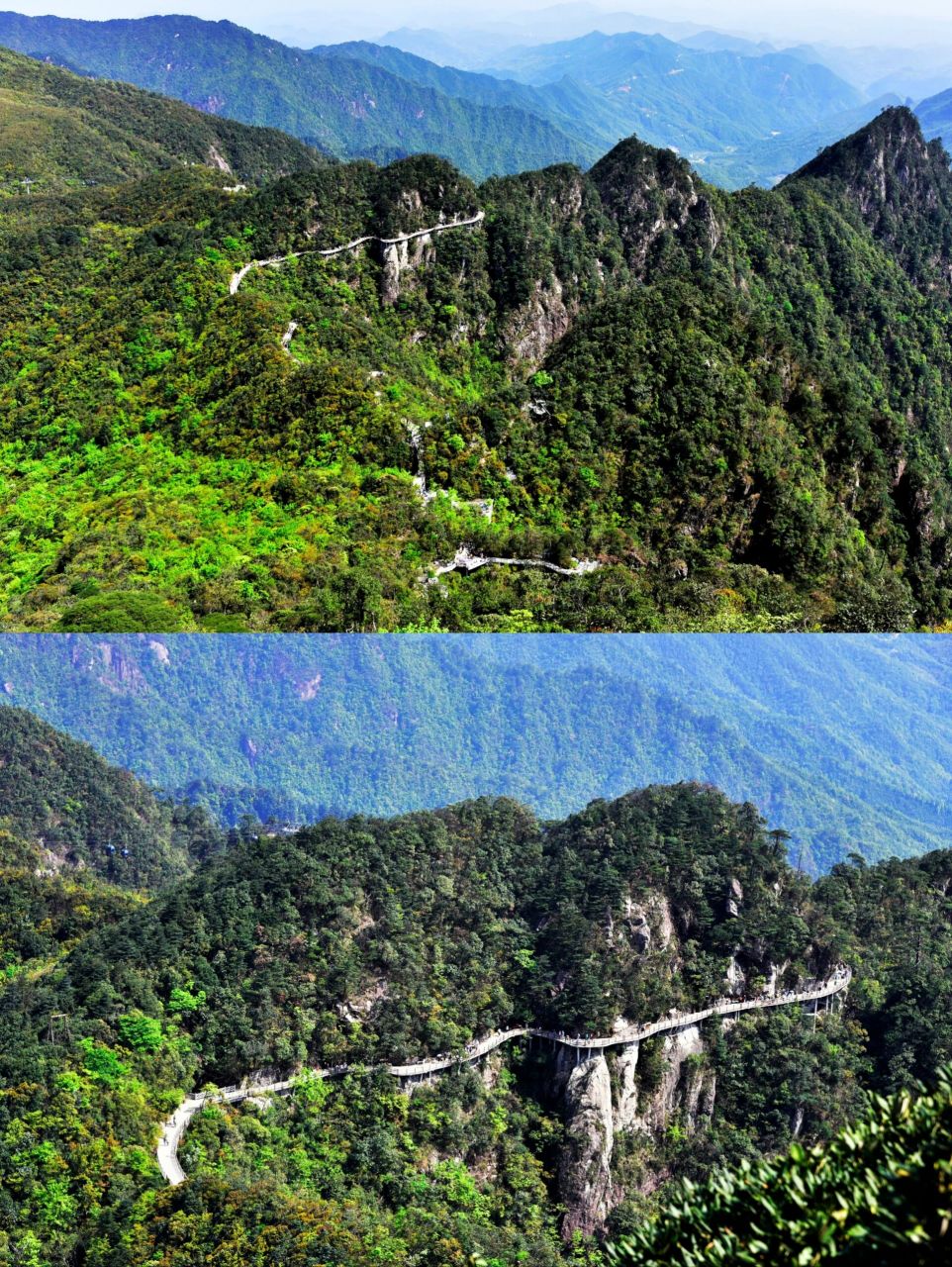 莽山,位于湖南郴州的宜章县最南部,是国家4a景区,山奇,水秀,林幽,石怪