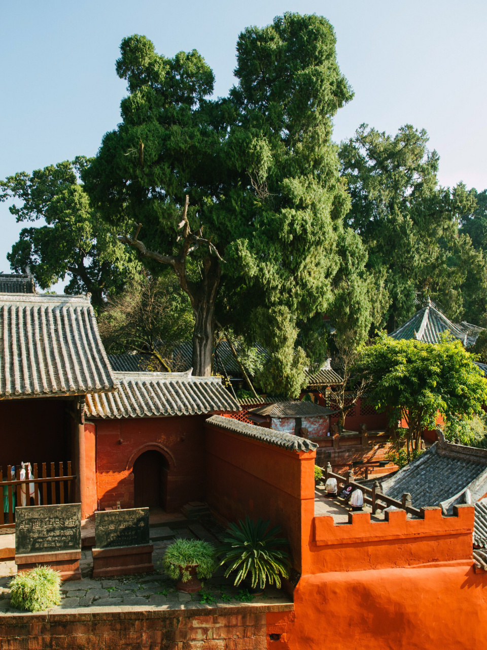 梓潼大庙山怎么变成这样了?