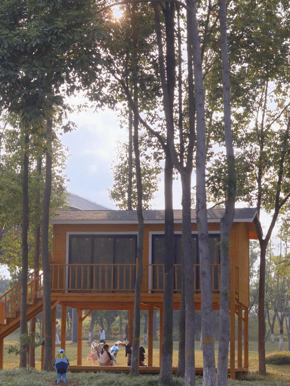 周末去哪儿|推荐成都56615个赏花游玩好去处94 96天府芙蓉园