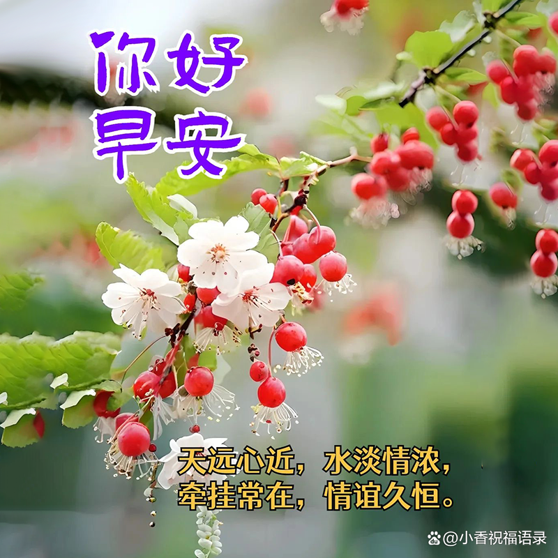 让人开心的早安语高情商(让人开心的问候早上好的图片)