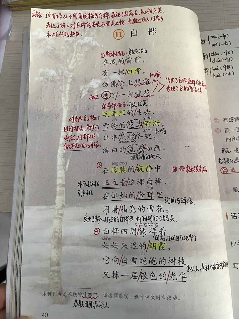 四下语文95|第11课《白桦》课堂笔记