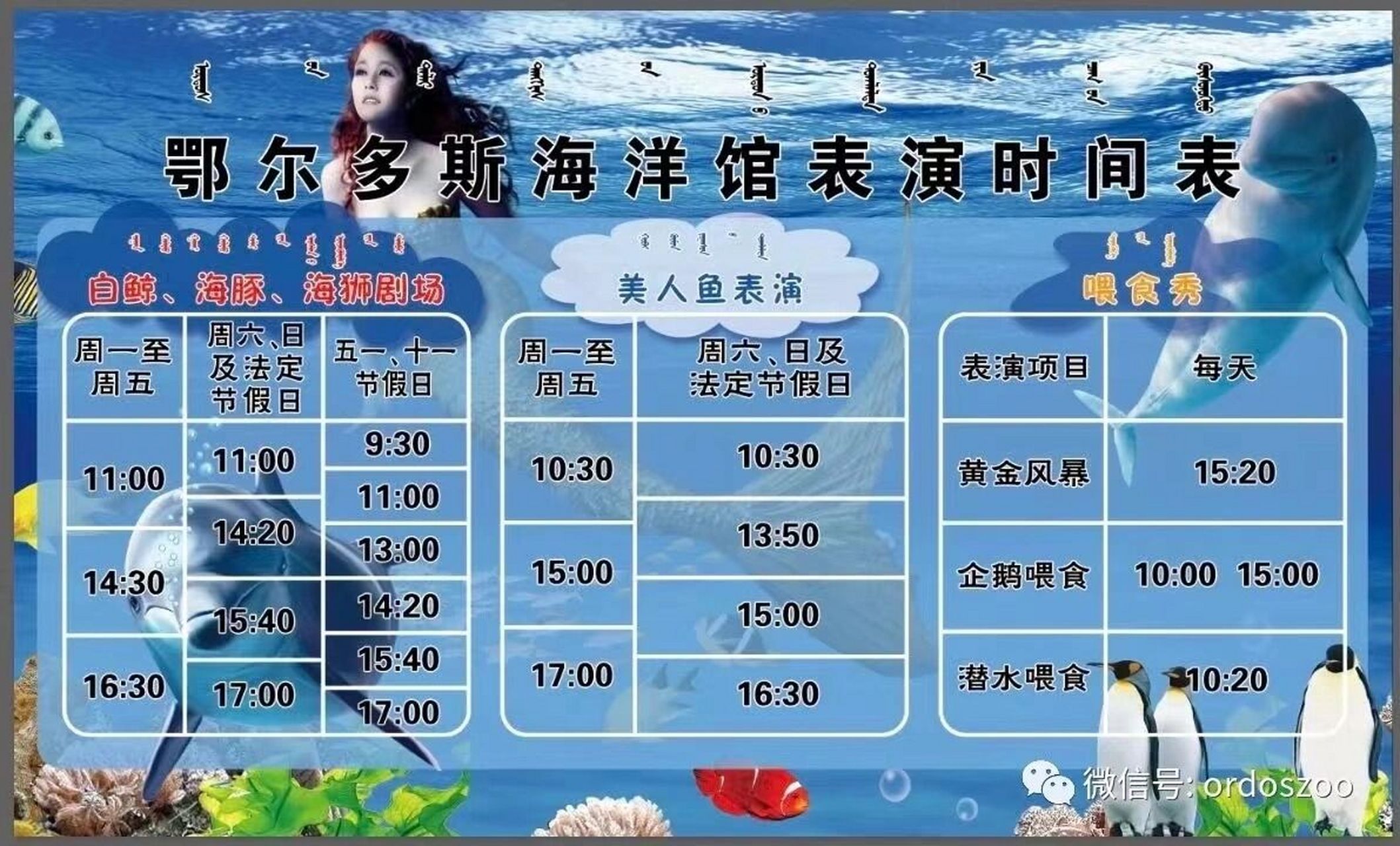 鄂尔多斯海洋馆时间表,请收好 海洋馆演出时间表↖,五一期间还有水下