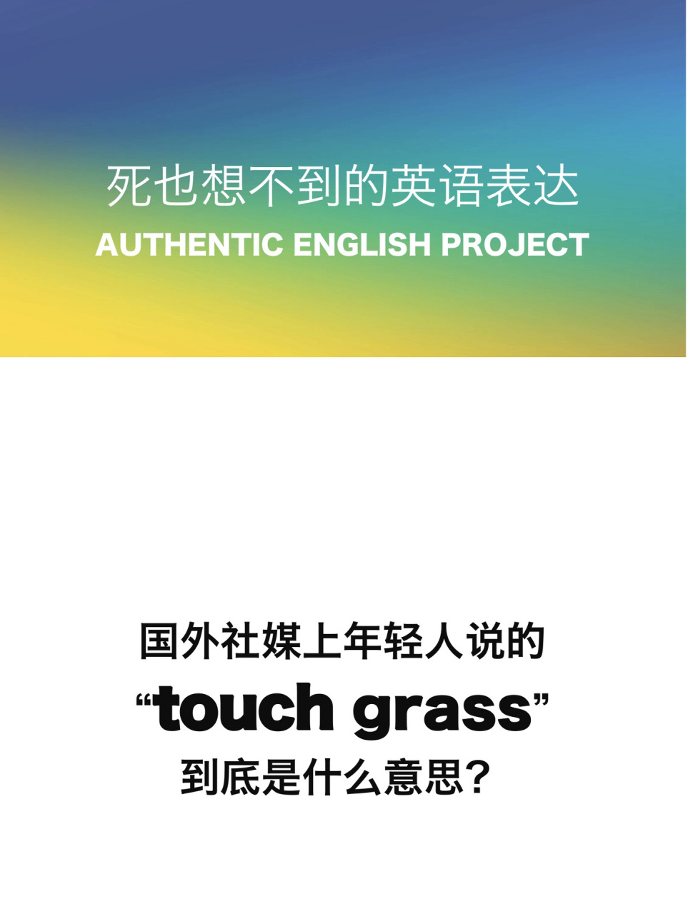 touch the grass图片