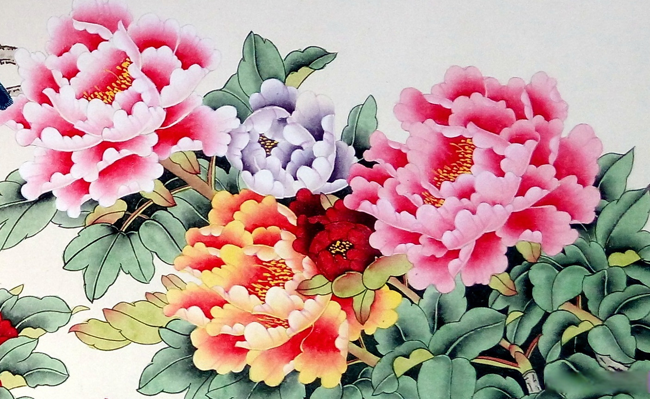 赵上慧工笔画《花开富贵》 赵上慧:1984年生,北京人,祖籍河南.