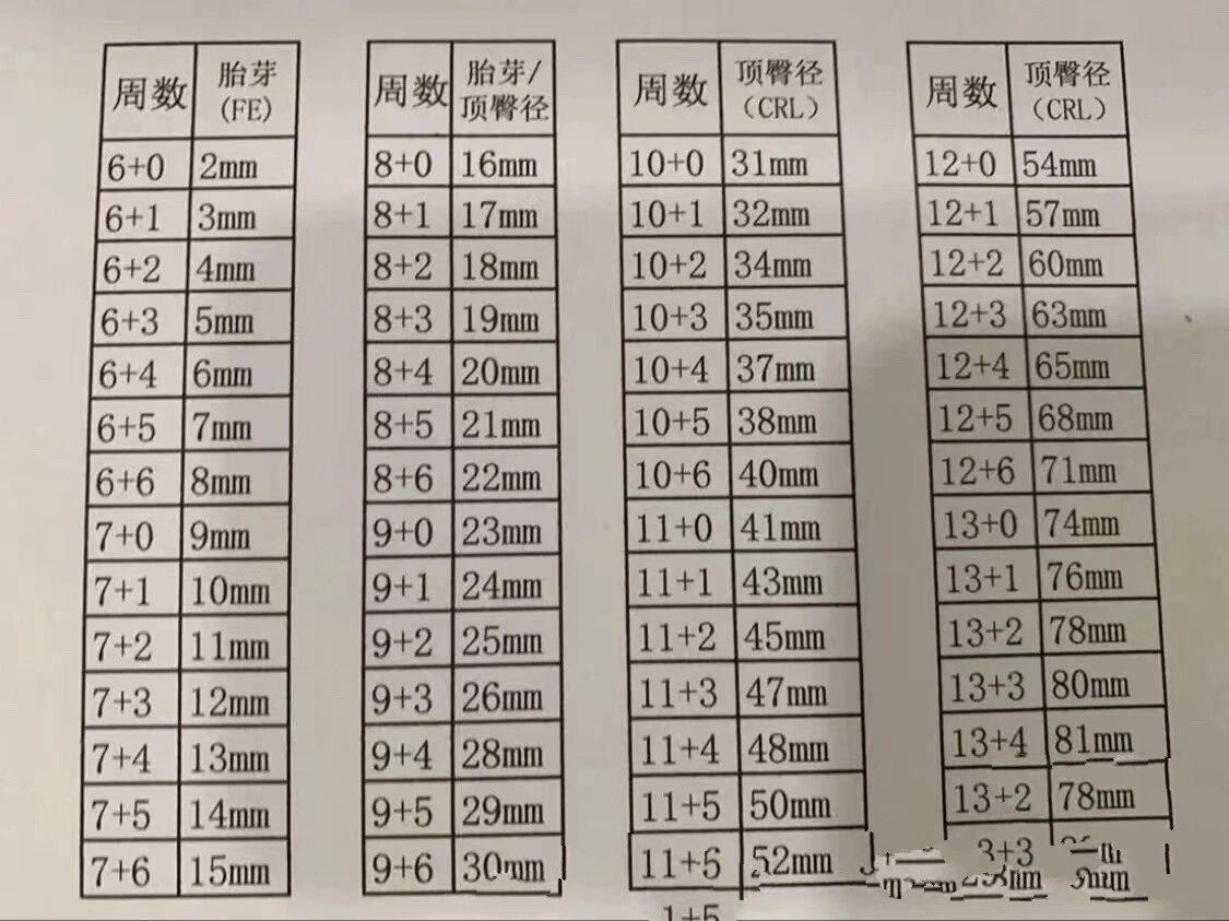 快来看胎芽长度对应的孕周 一般孕6