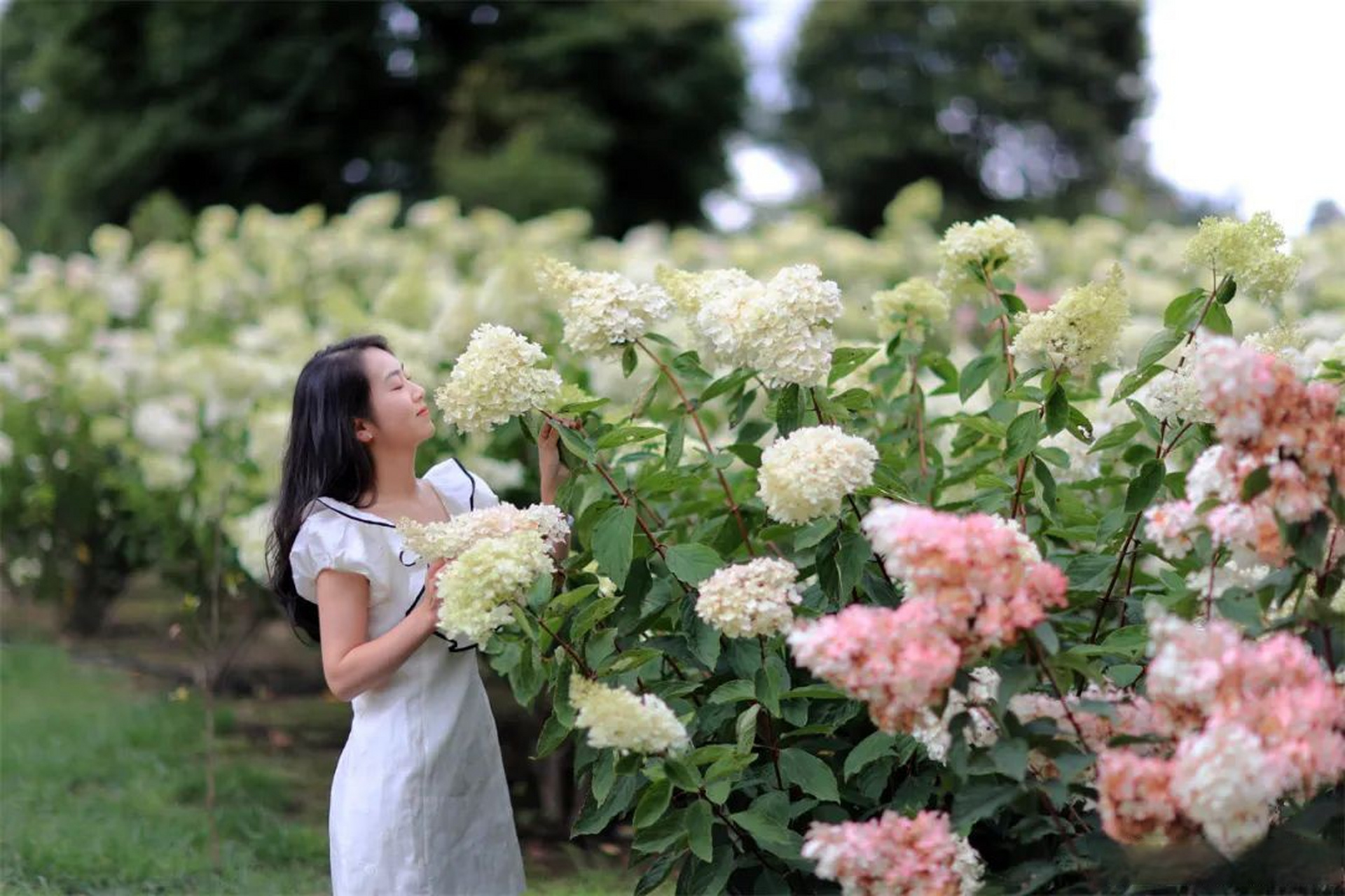 归云庄3a景区,位于具有"天然地质博物馆"美誉的腾冲市中和镇,坐落于