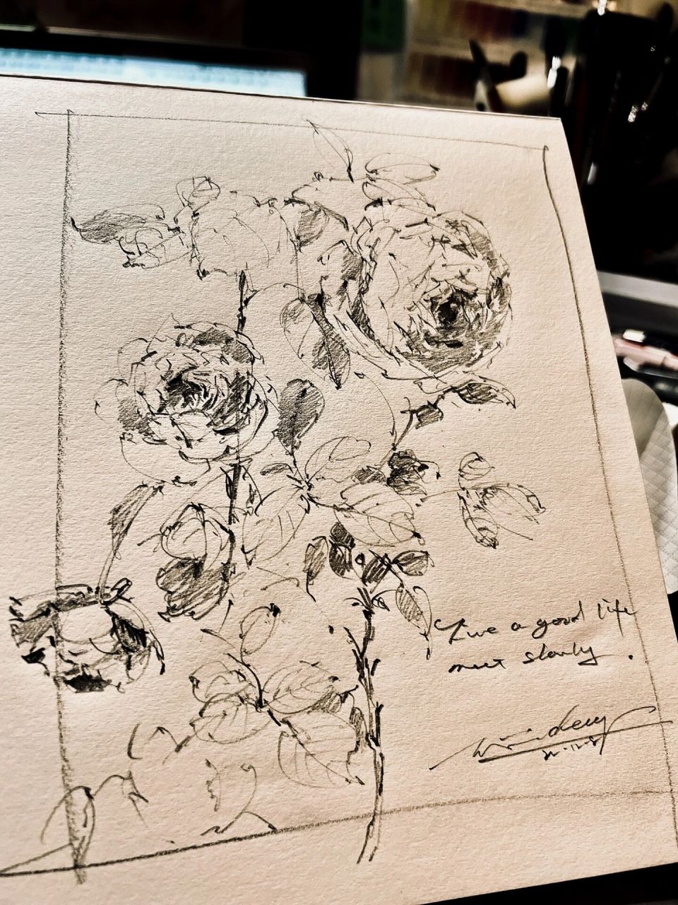 sketchbook 花卉速写 手绘玫瑰 线描花卉 黄昏微光下的玫瑰散发着幽香