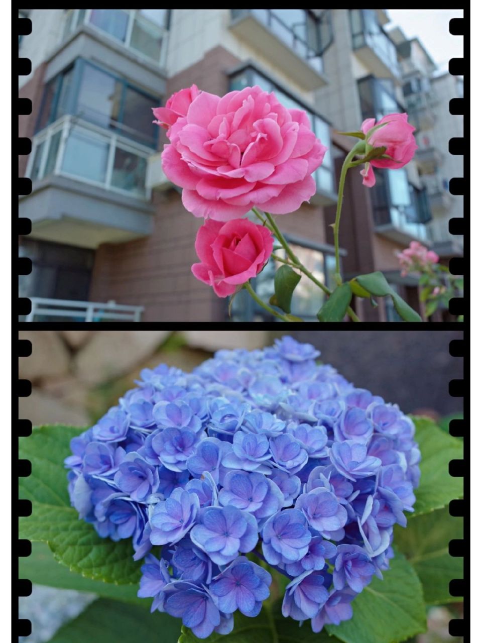 武汉周边避暑胜地:英山桃花溪避暑度假小镇 今年夏天酷暑异常,长江