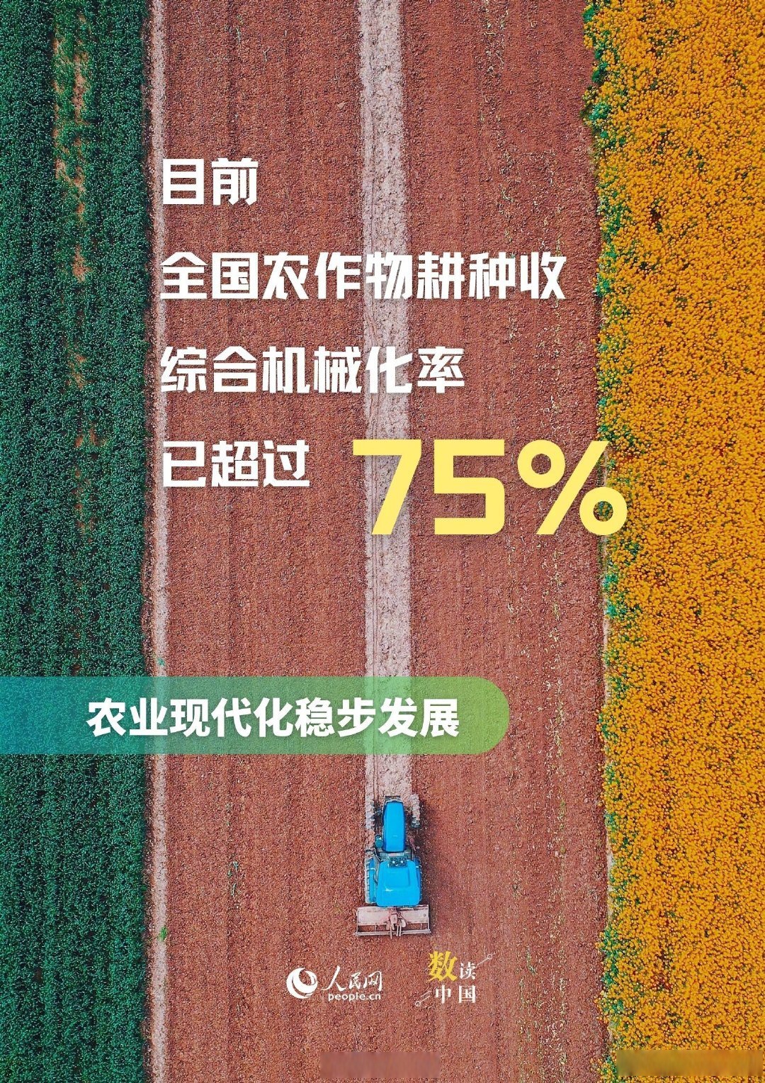 赣南大地 的温饱之 农业转型相关图片2