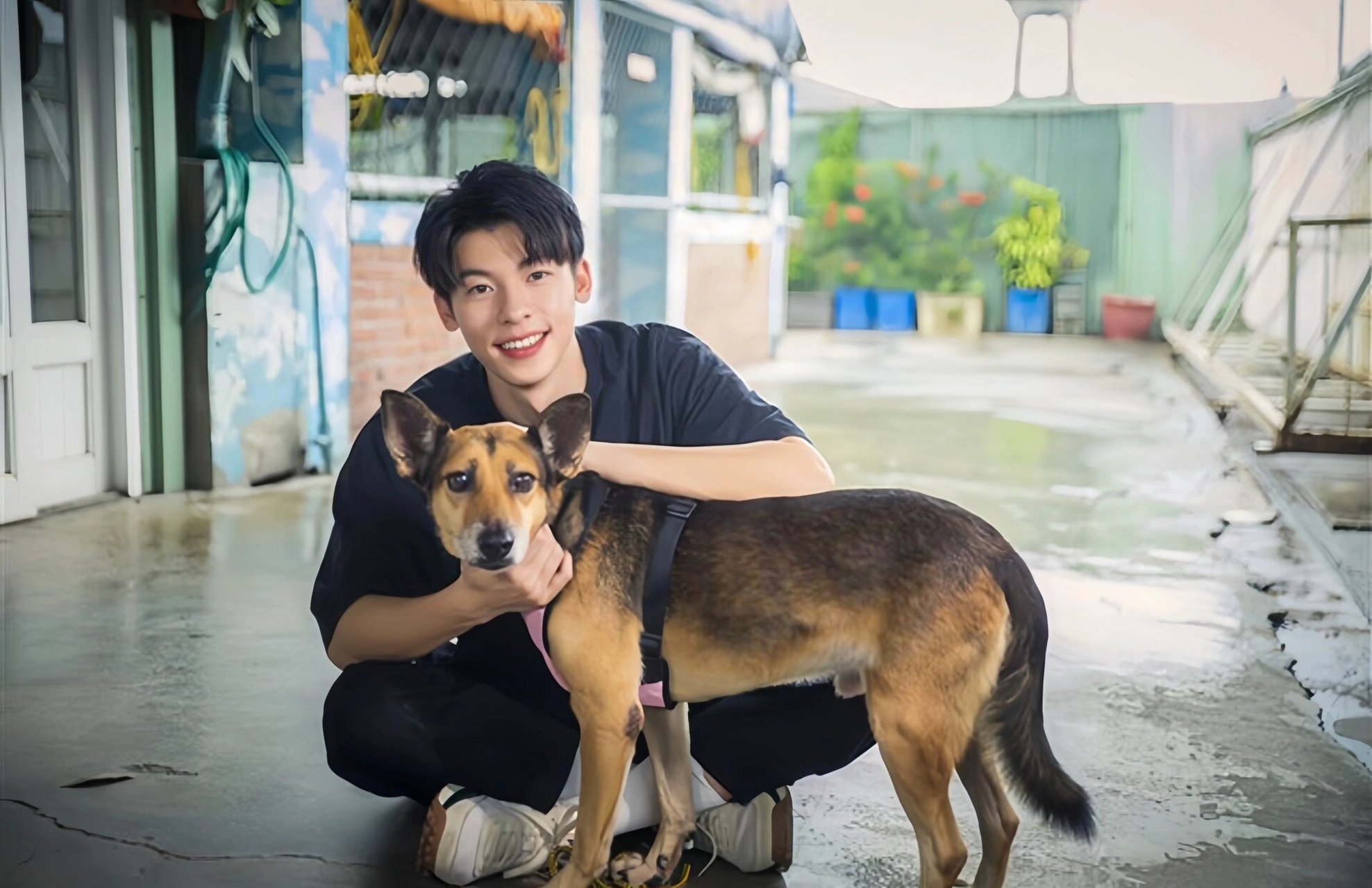 许光汉&狗狗壁纸原图来咯75