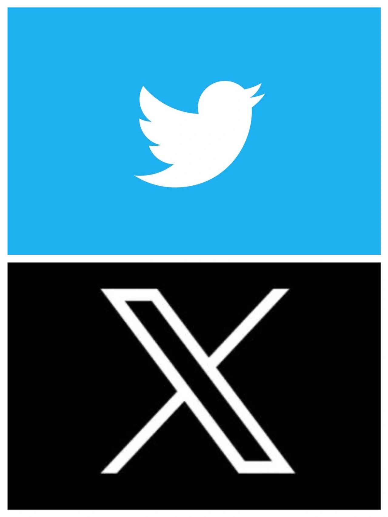 你接受twitter的logo变成x吗?全乱了
