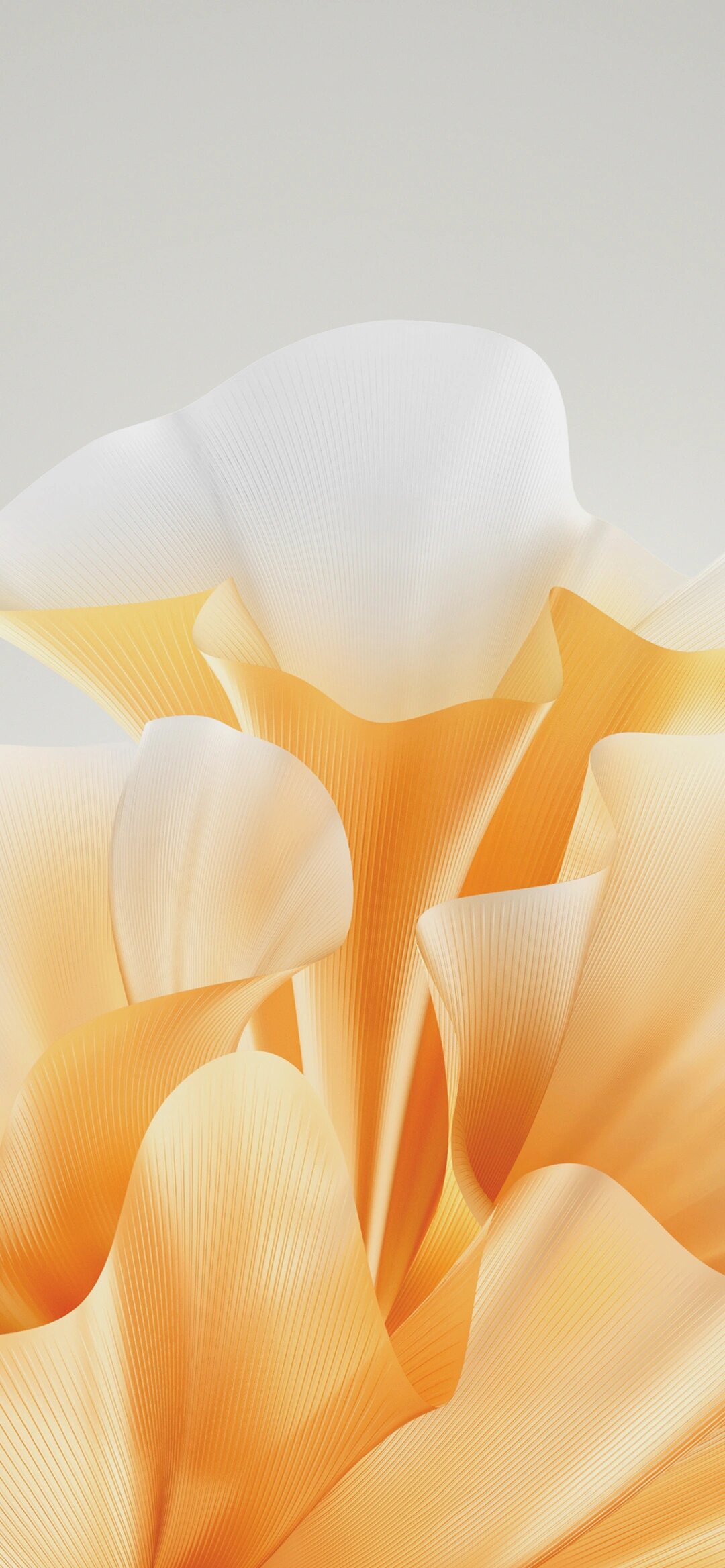 荣耀 magic v2原生壁纸