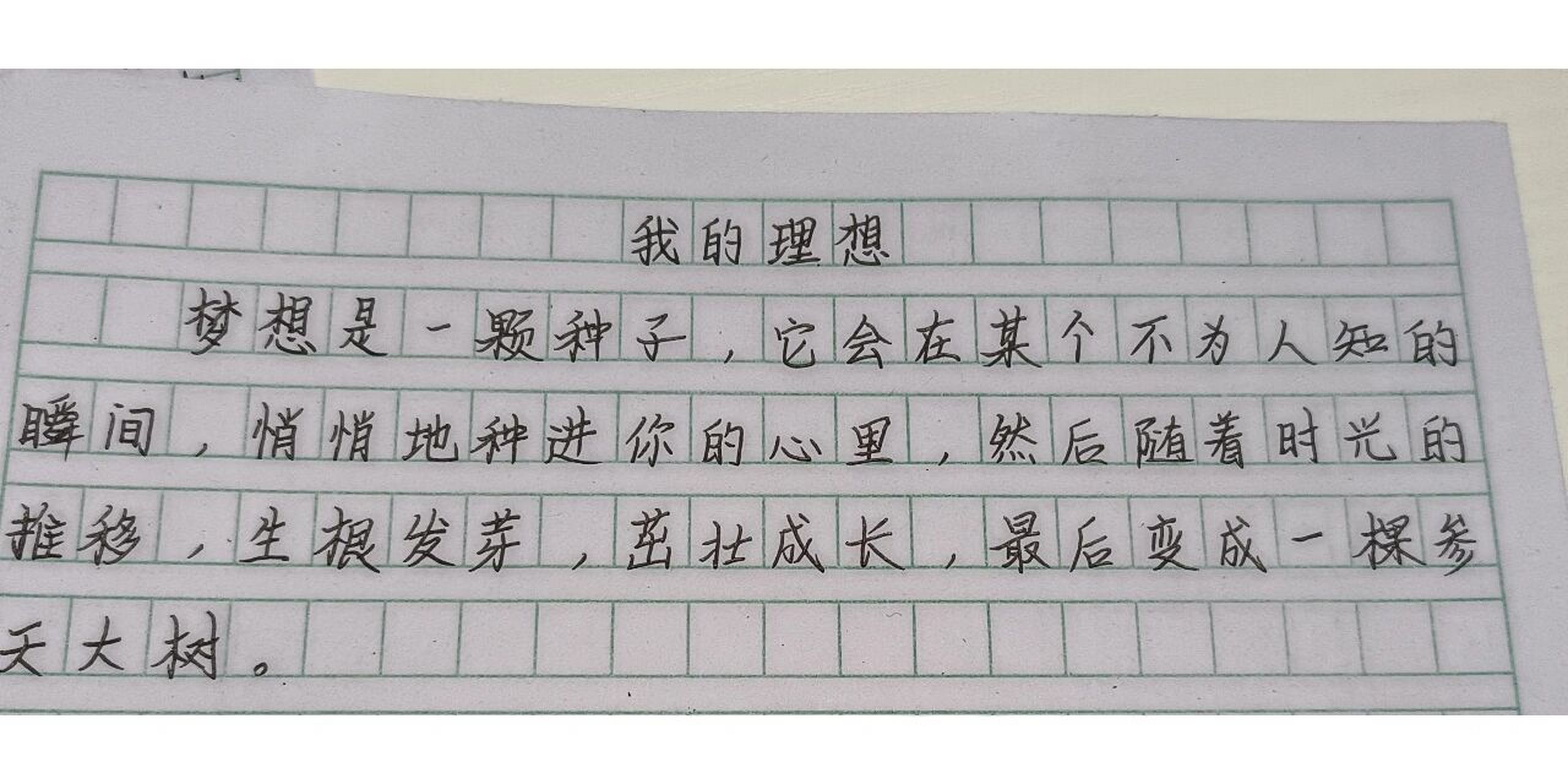 我的理想 从小就很想做警察,这篇作文写着写着破防了,开始哭,写不下去