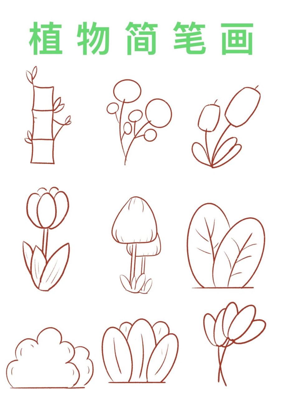 植物简笔画100个图片