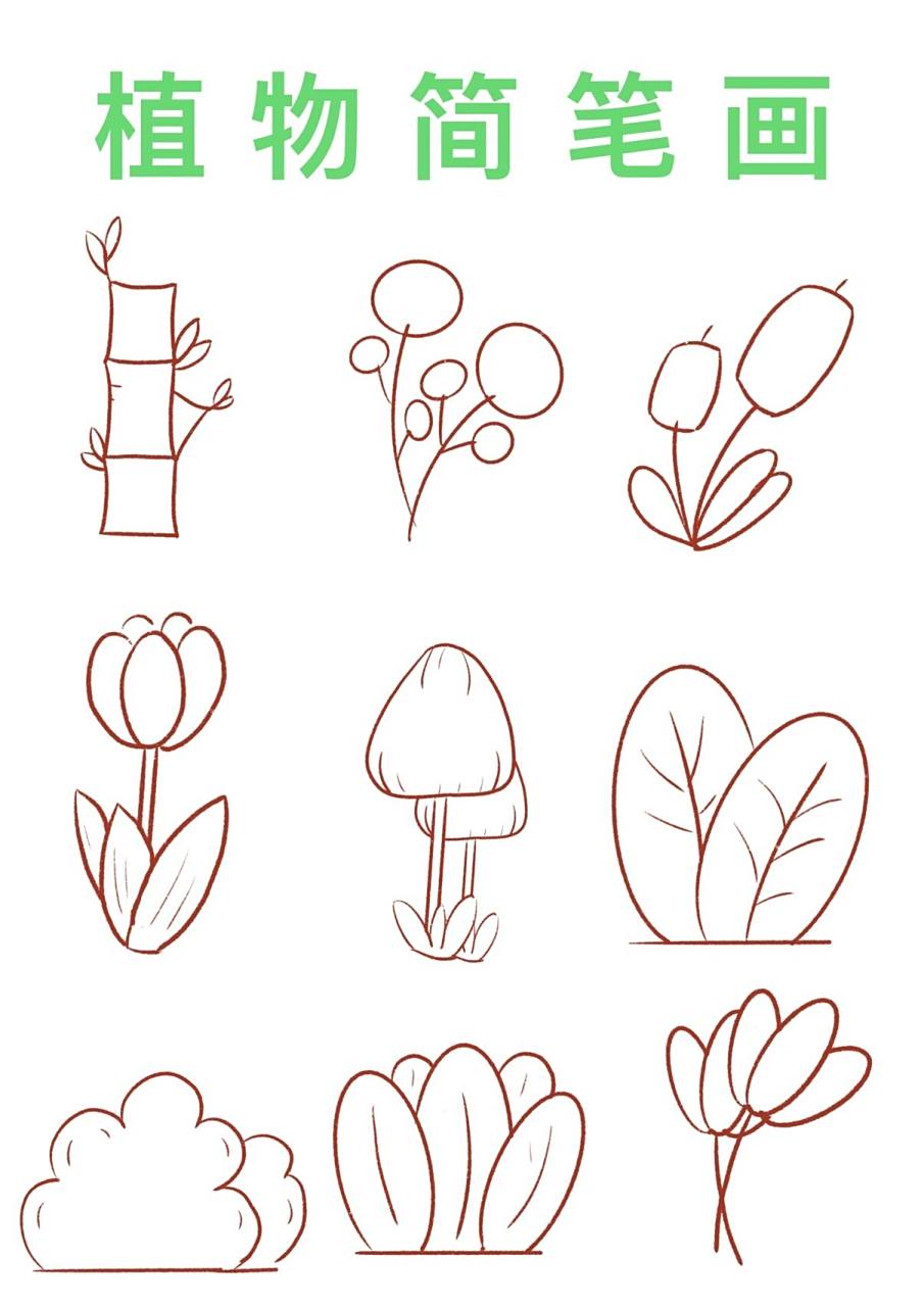 简笔画|植物简笔画 哈喽,宝子们! 许久不见啦! 今天是植物哦!