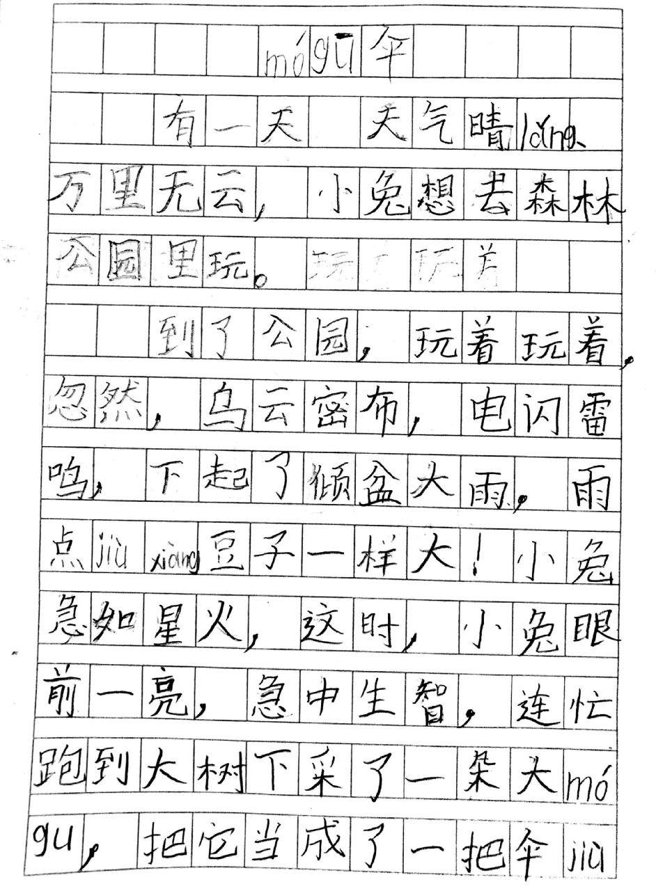 一年级看图写话:《蘑菇伞》