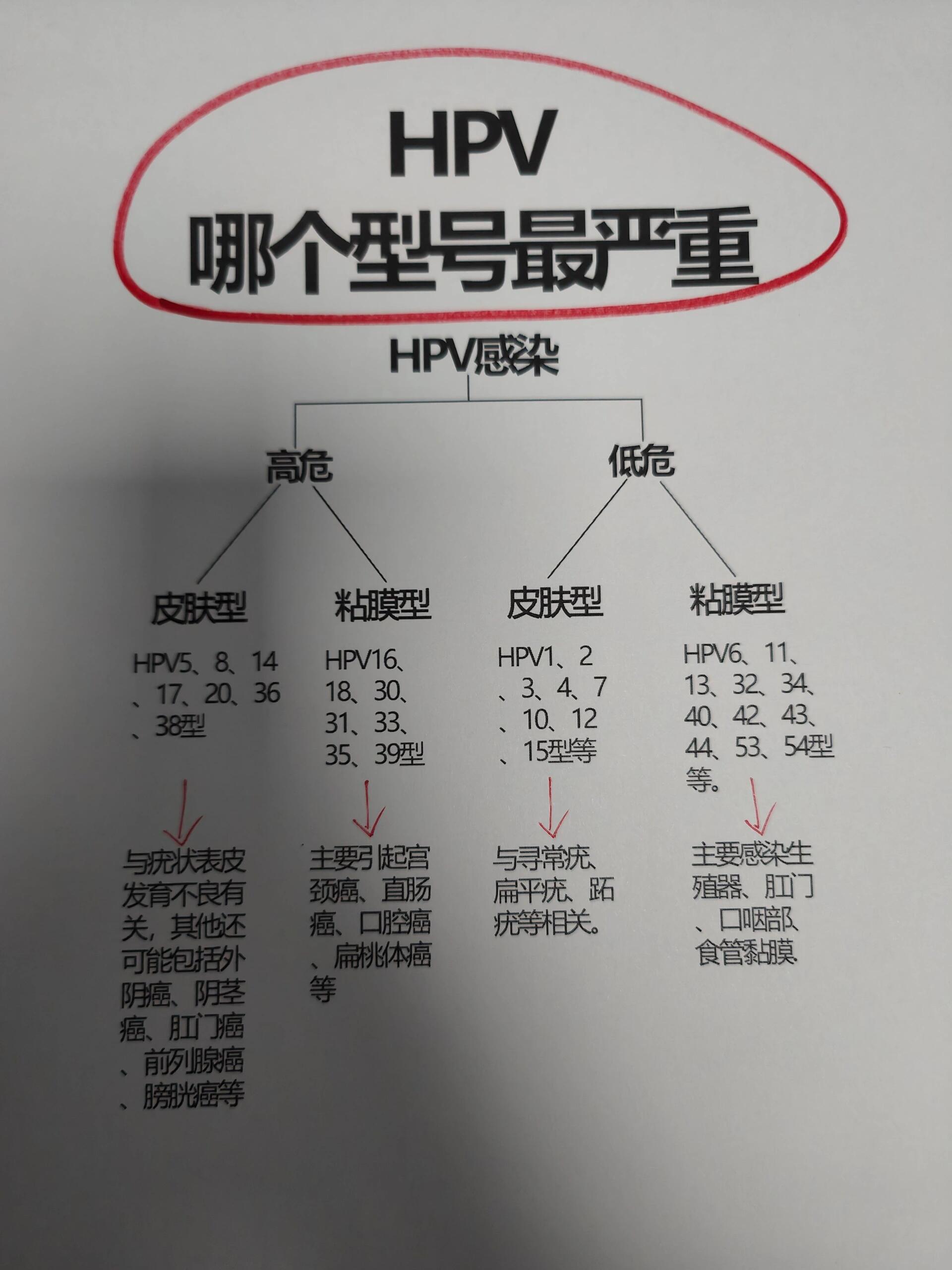皮肤低危型: hpv1, 2,3,4,7,10,12,15与寻常疣,扁平疣,跖疣