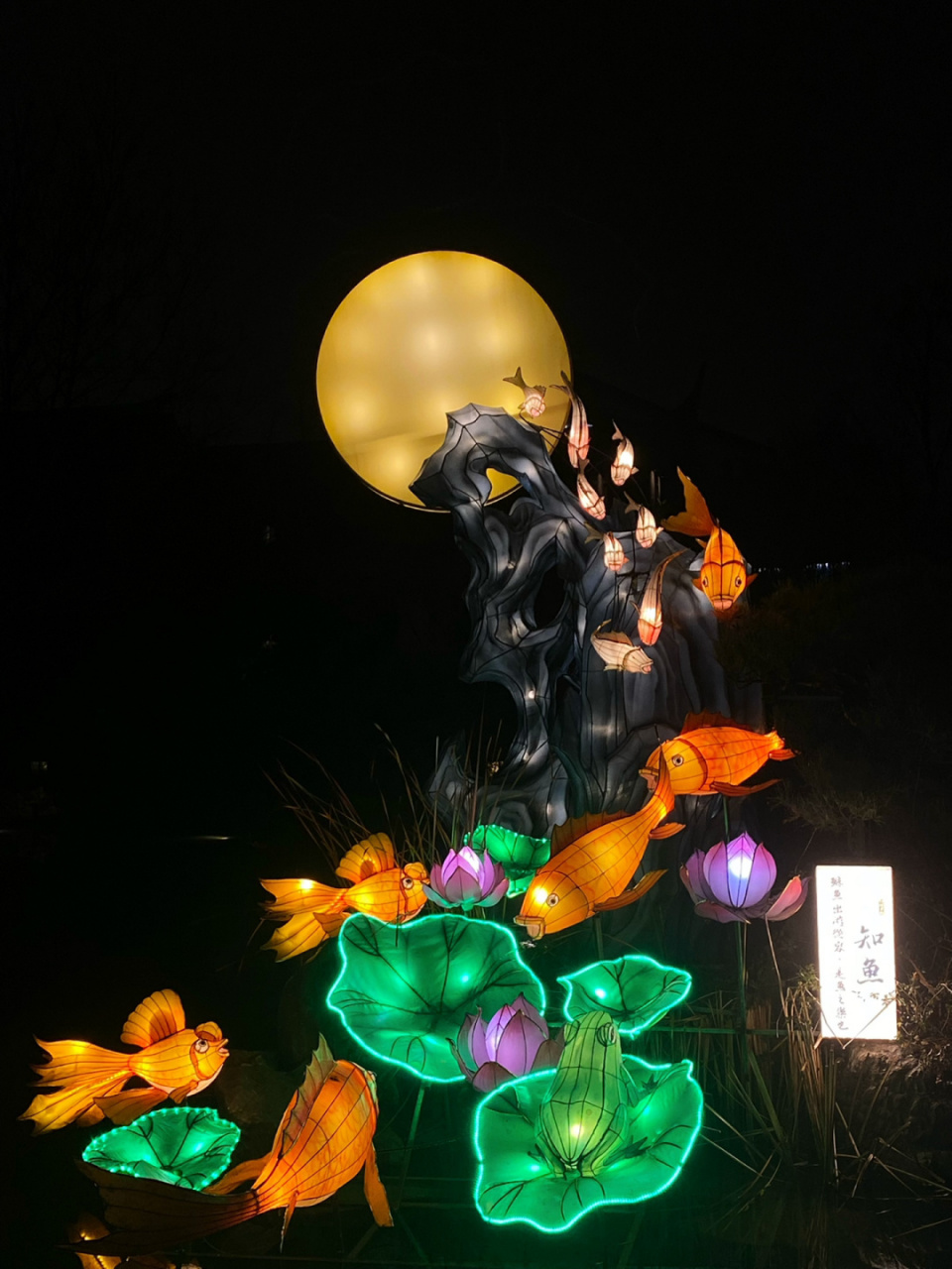 新年伊始,在姑苏城内为你明灯三千96 与非遗——苏州灯彩技艺相结合