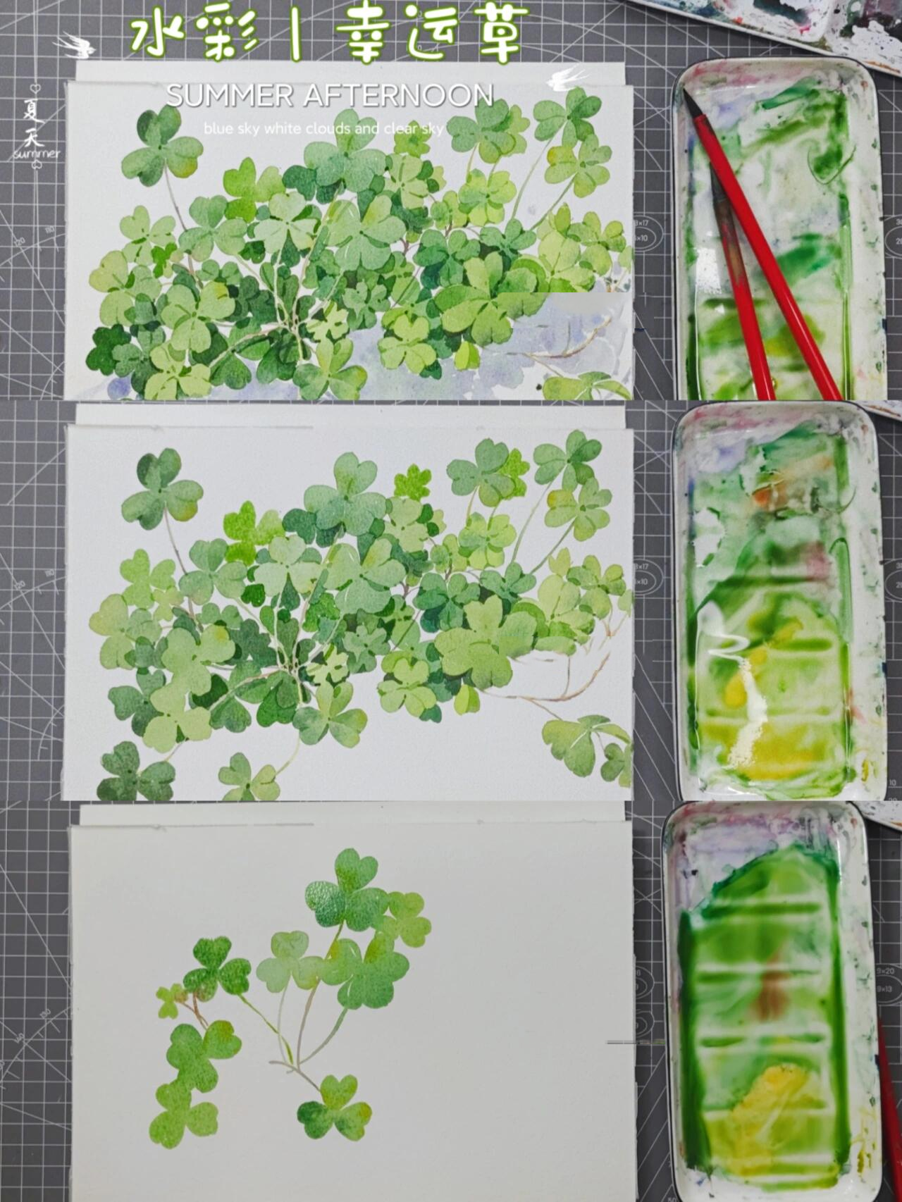 水彩幸运草插画(九图步骤分享