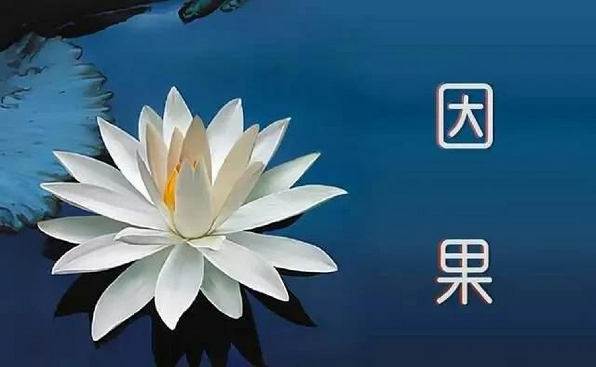 这个因果就是始于背叛终于猜忌.