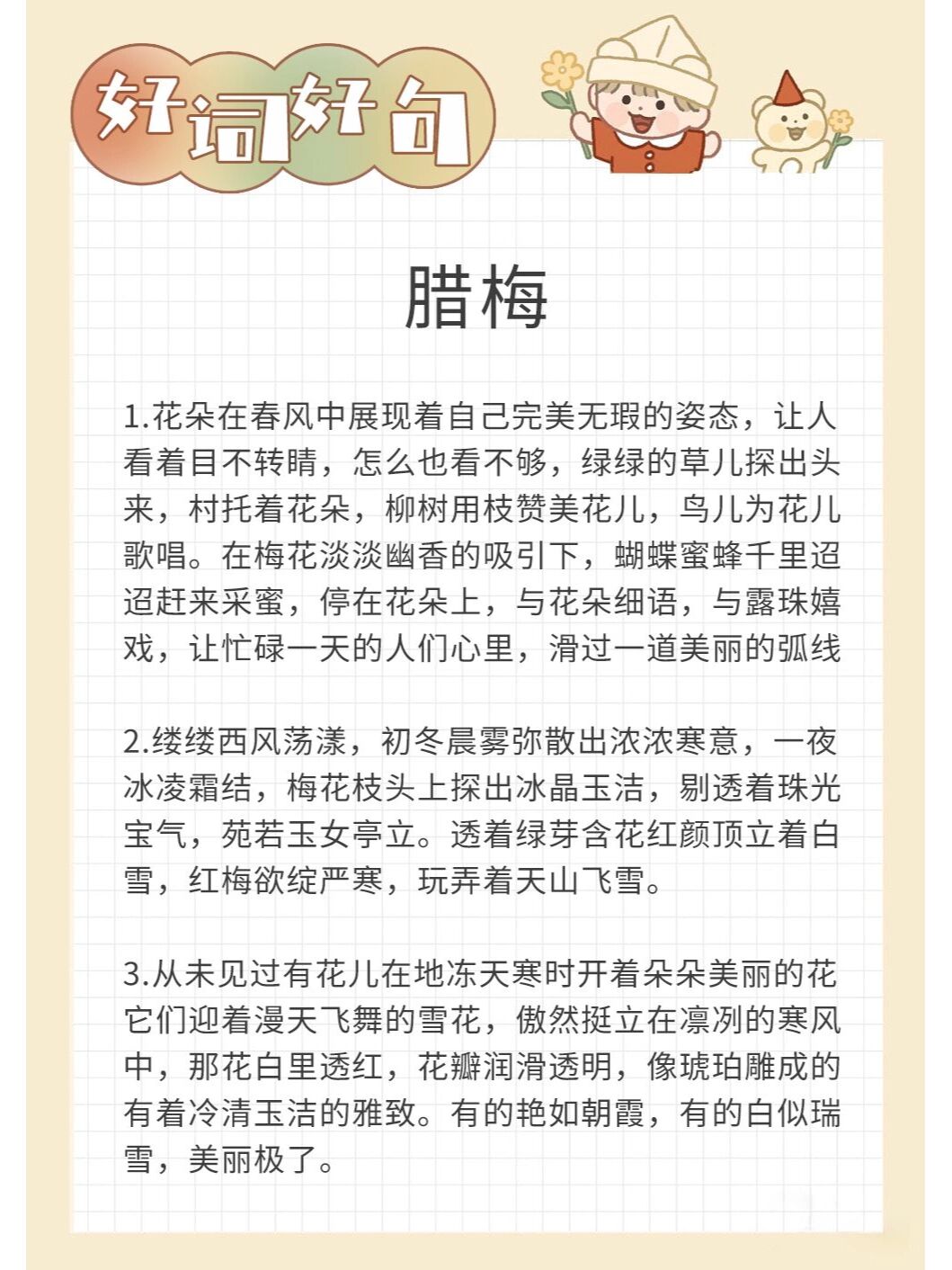 在梅花淡淡幽香的吸引下,蝴蝶蜜蜂