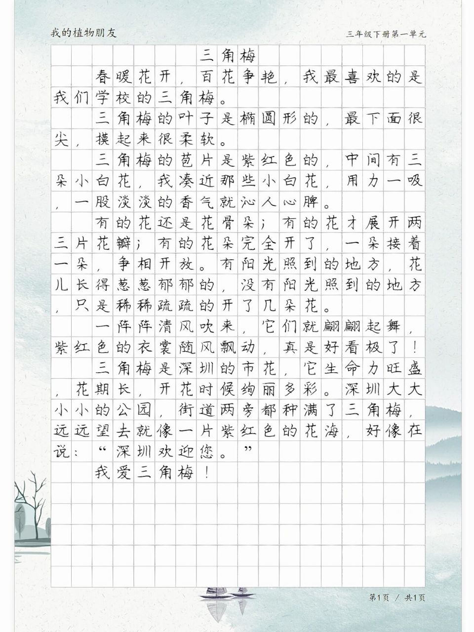 我的植物朋友——三角梅,描写植物的作文