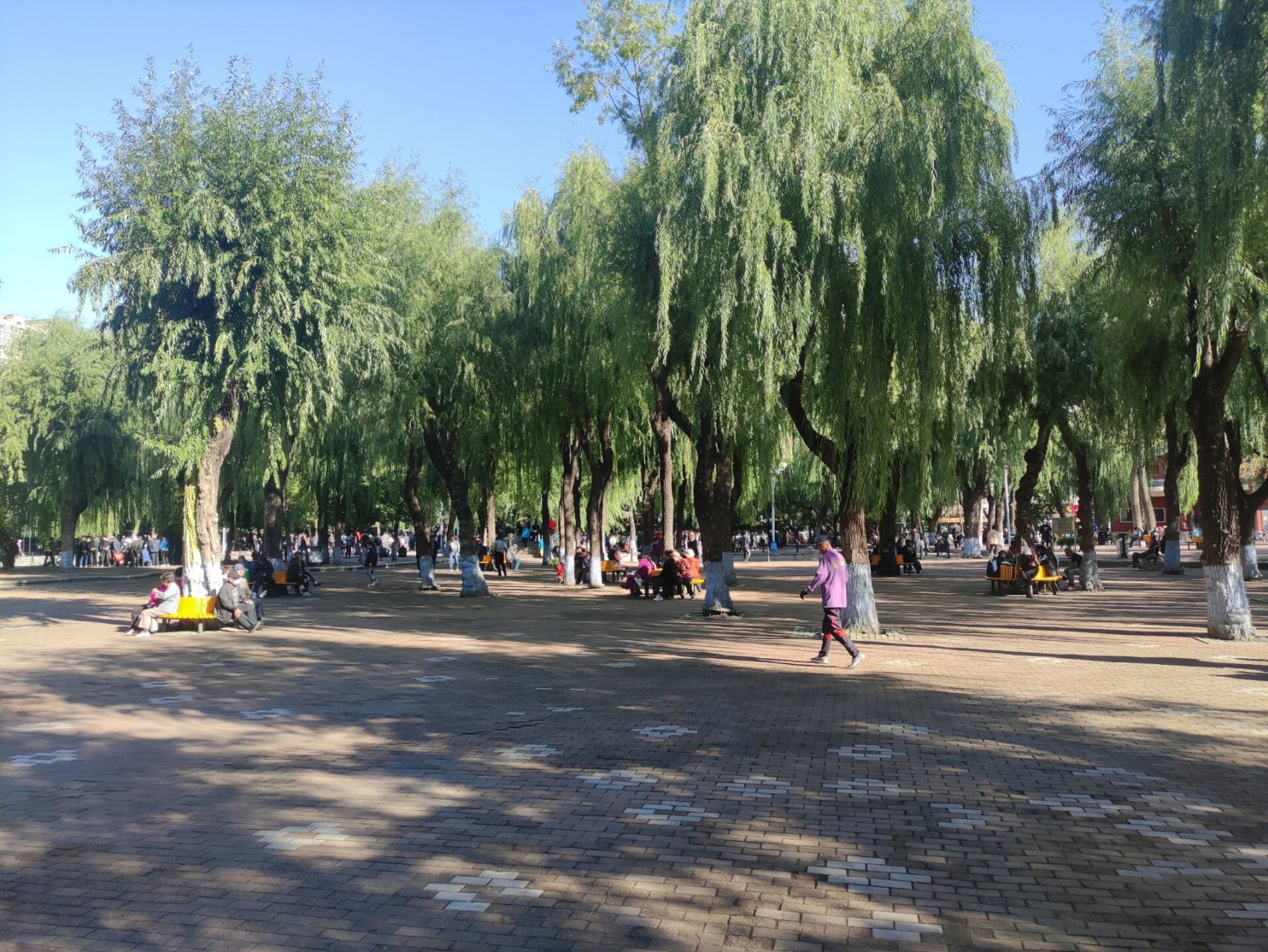 哈尔滨打卡|建国公园 71哈尔滨市建国公园位于道里区建国街237号
