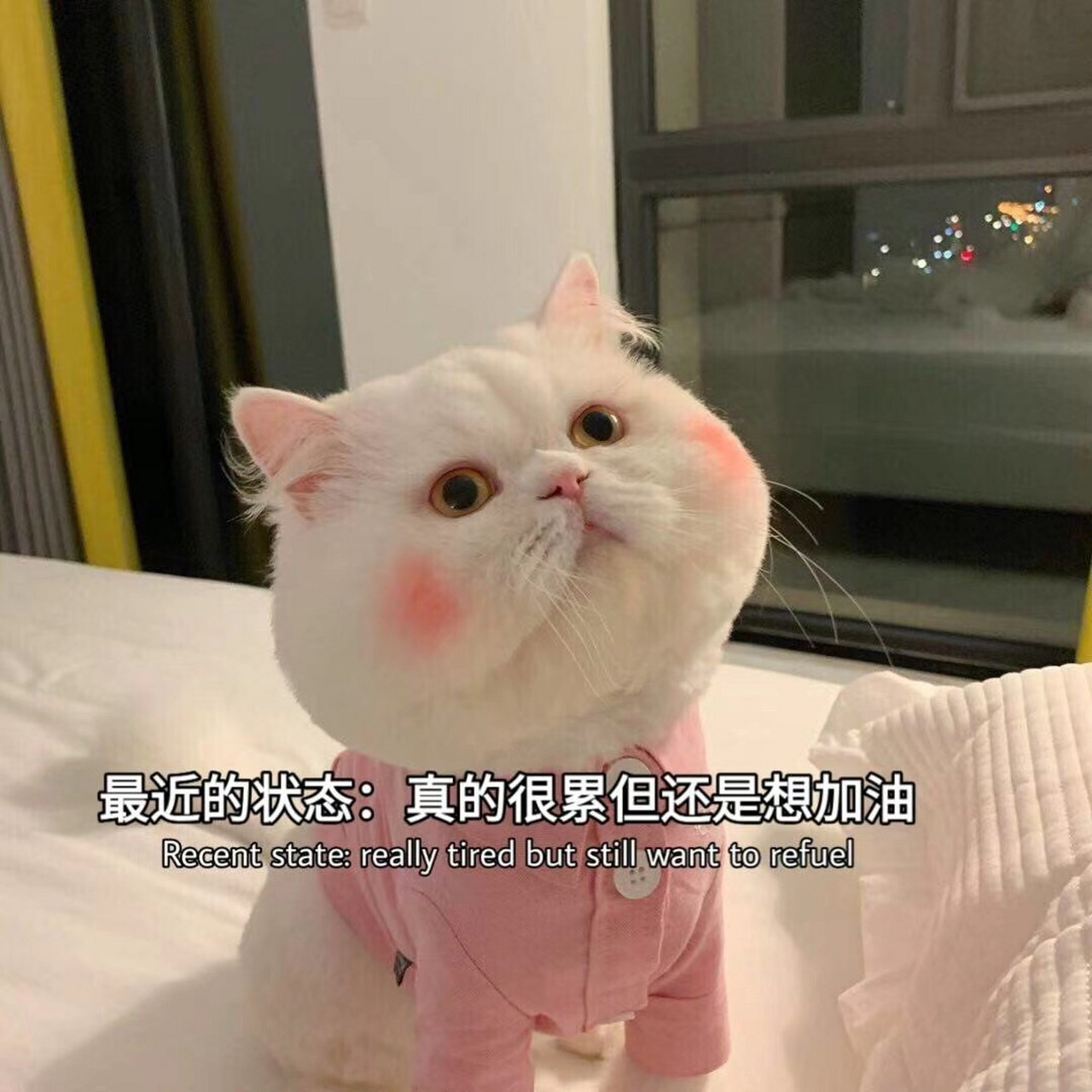 满满正能量的努力文案合集 1.你要安静的优秀 还有悄无声息的坚强. 2.