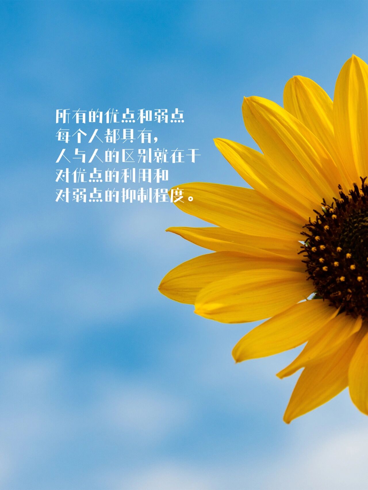 金年会- 金年会体育 注册即送88元- 金年会官方网站《恶搞之家 第十四季》4