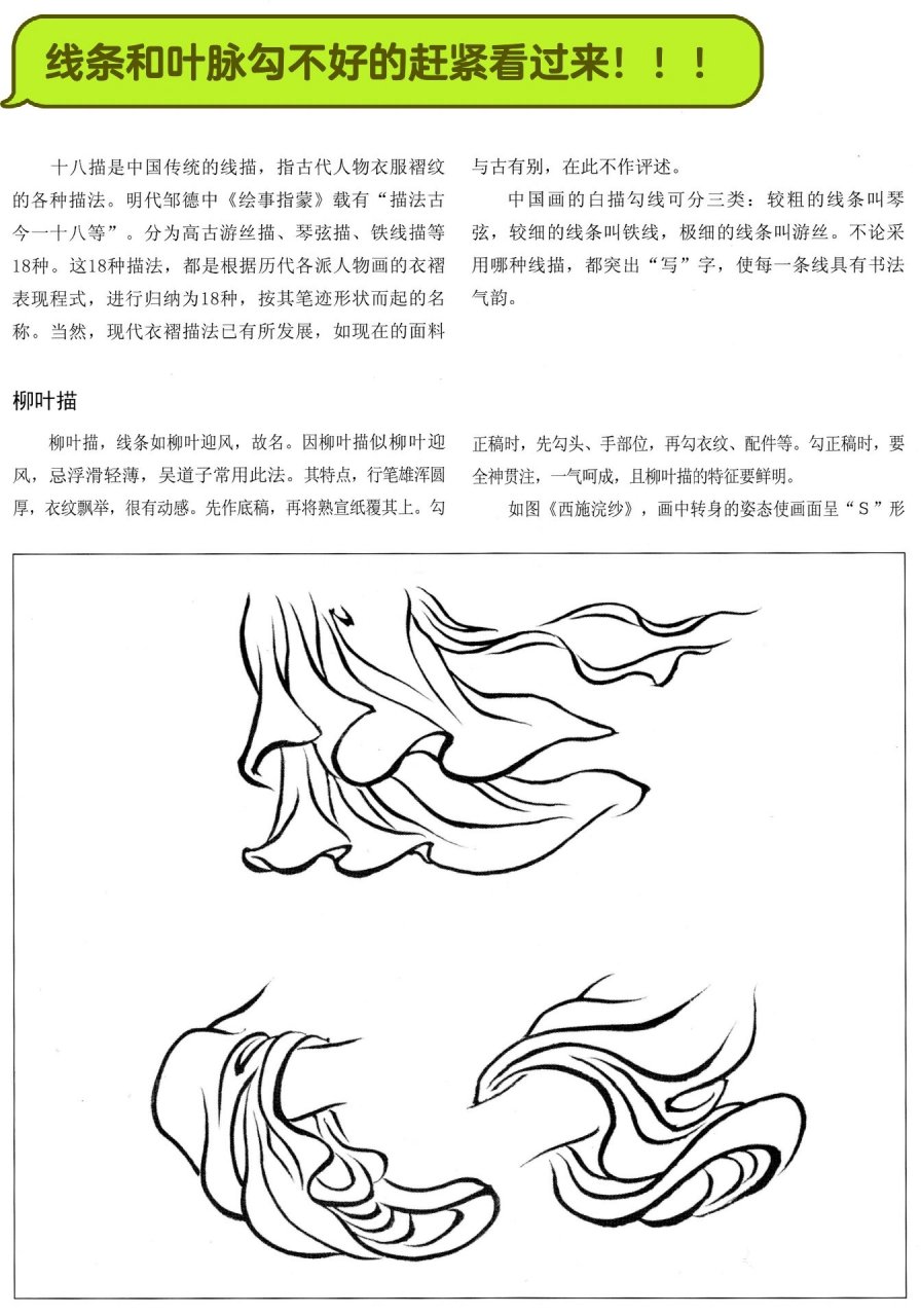 工笔画白描技法分享(十八描) 线条和叶脉勾不好的看过来!